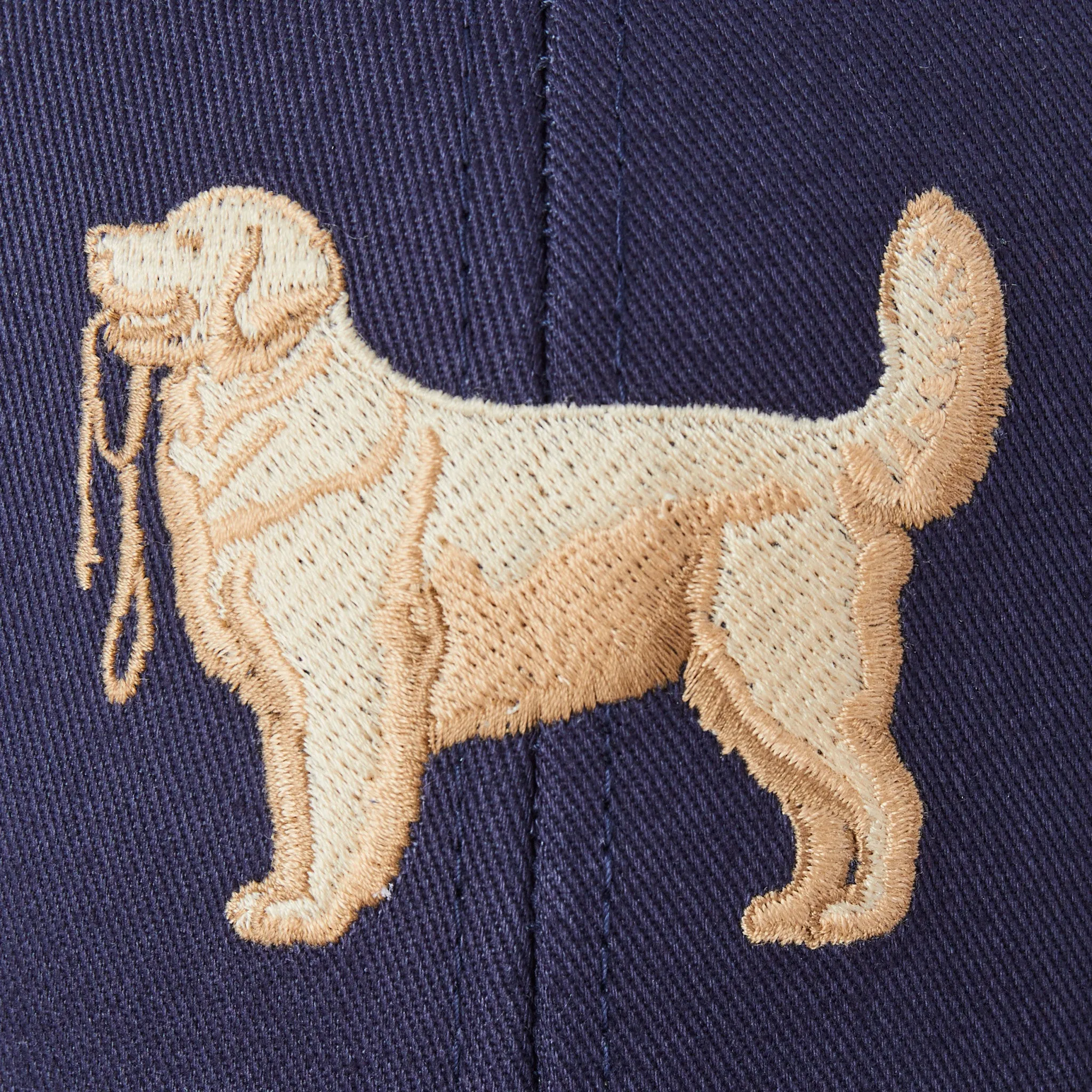 Adult Unisex Folder Retriever with Leash Trucker Life is Good