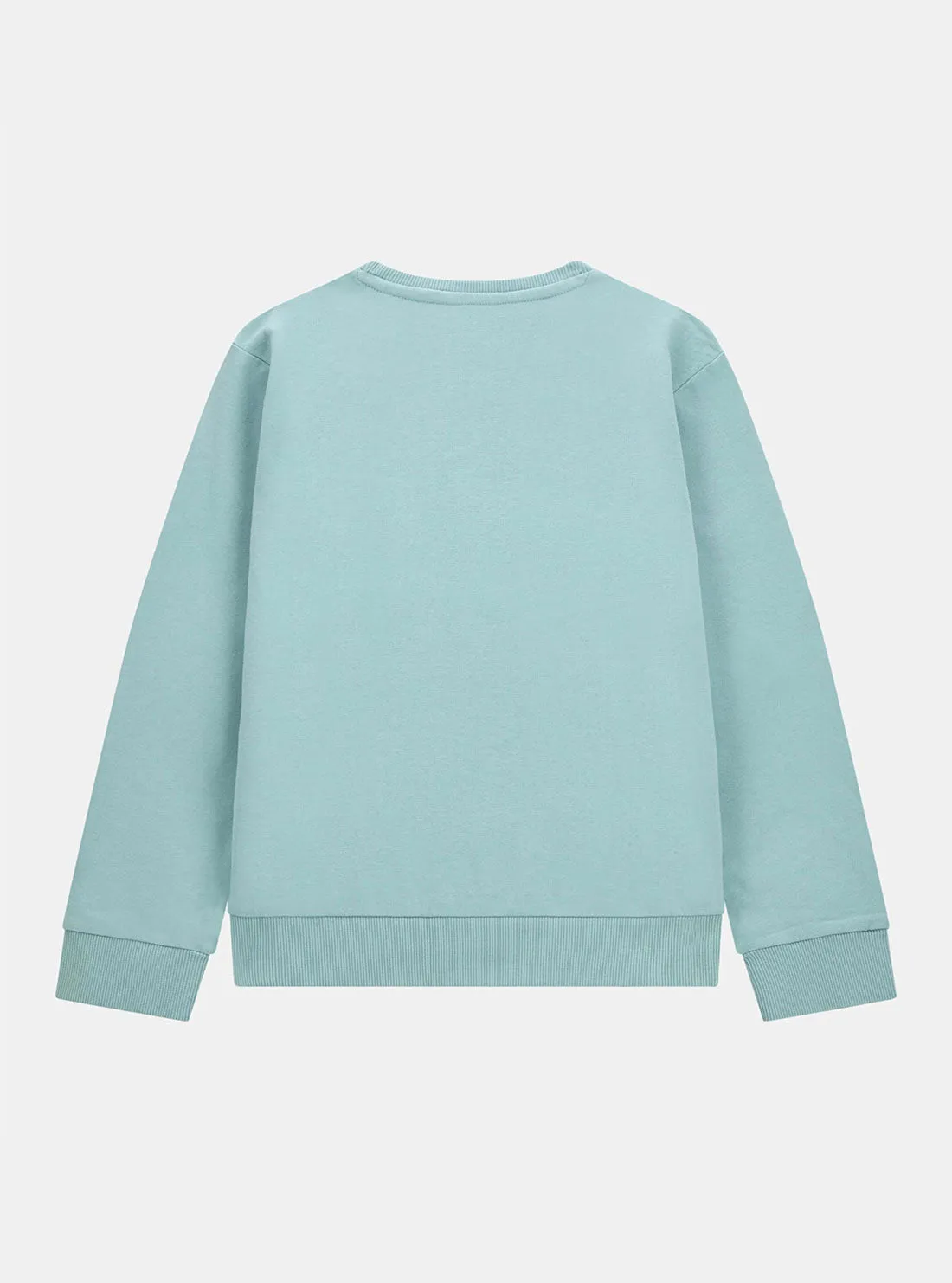 Blue Active Jumper (7-16) Guess