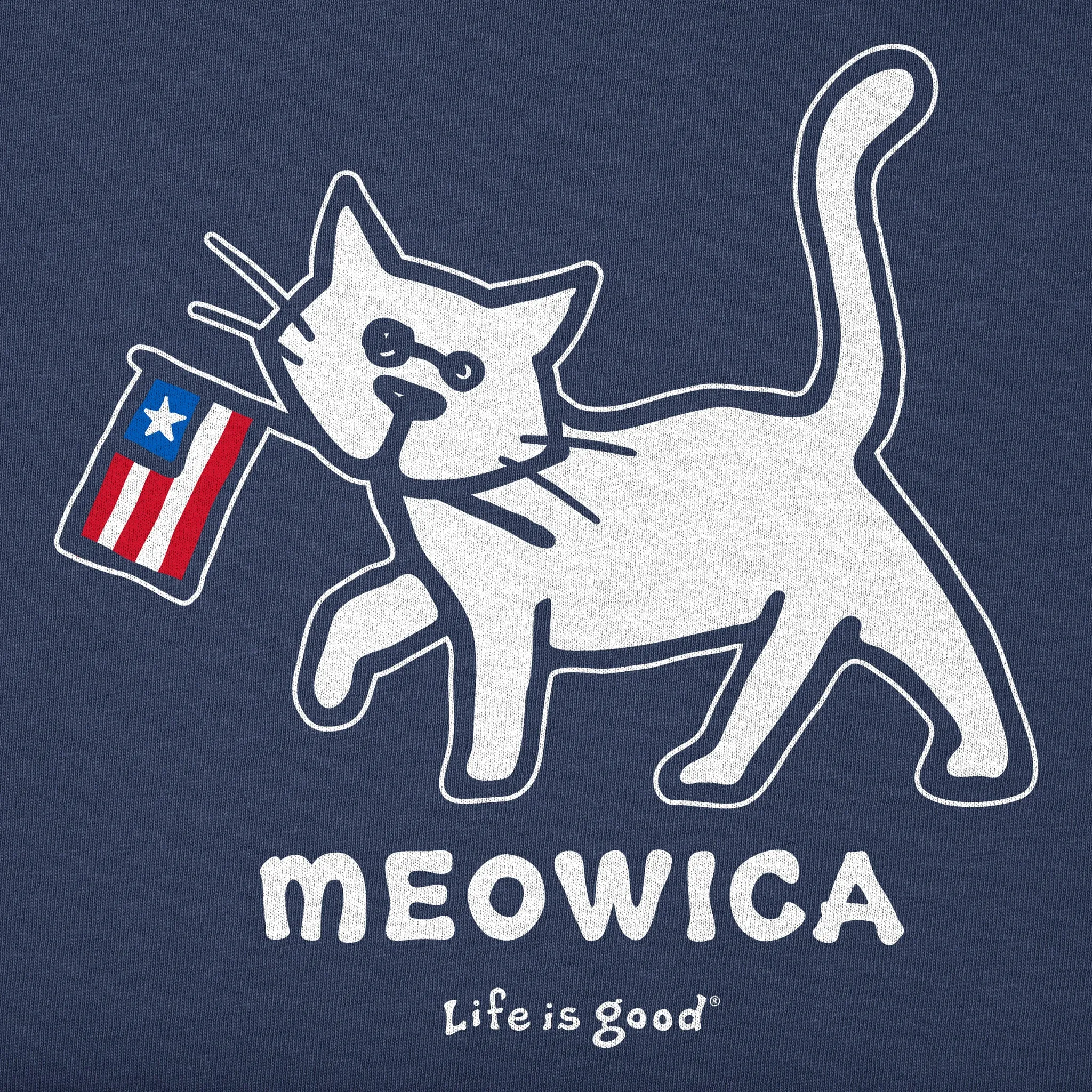 Kids Al Meowica Short Sleeve Crusher Tee Life is Good