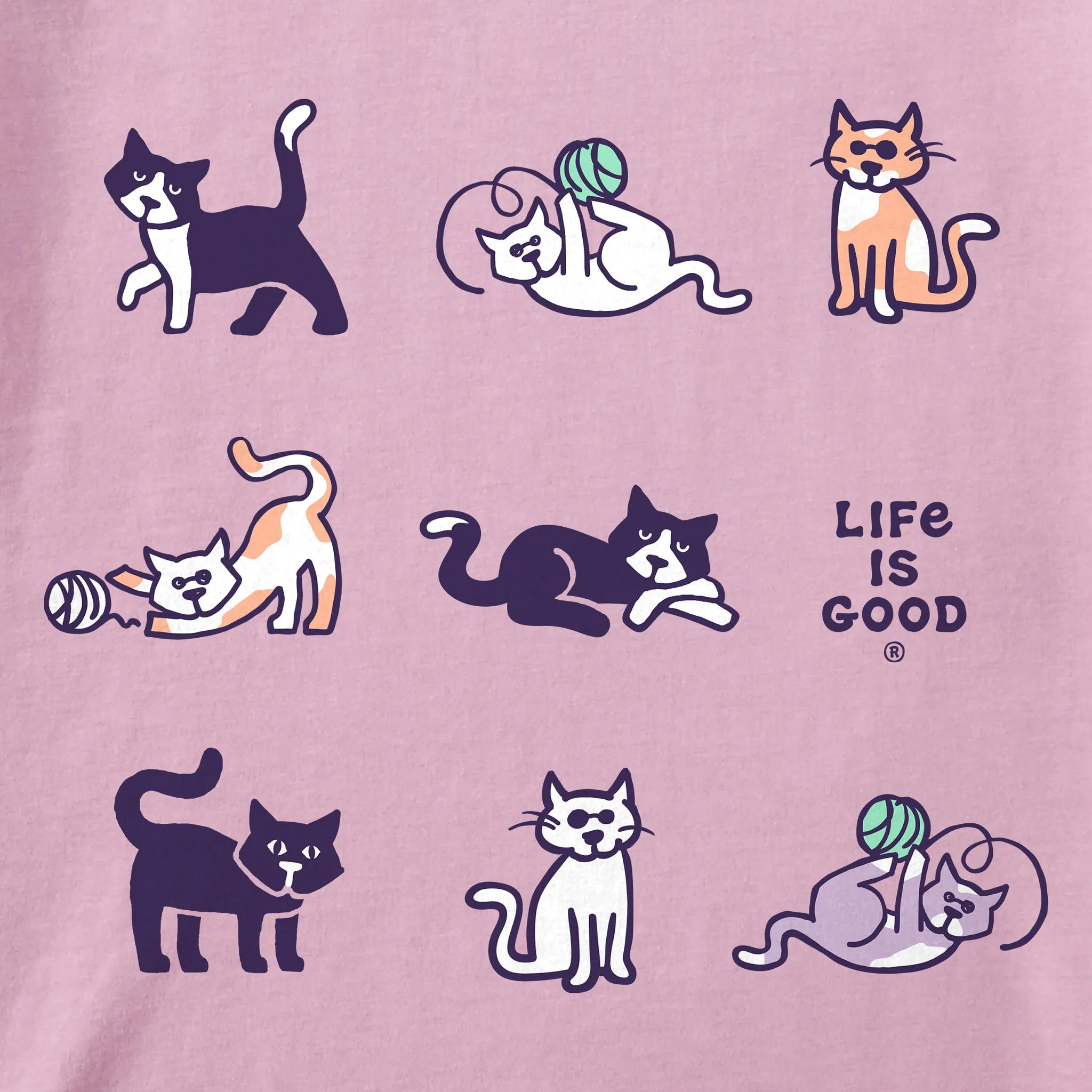 Kids Al the Cat Grid Short Sleeve Crusher Tee Life is Good