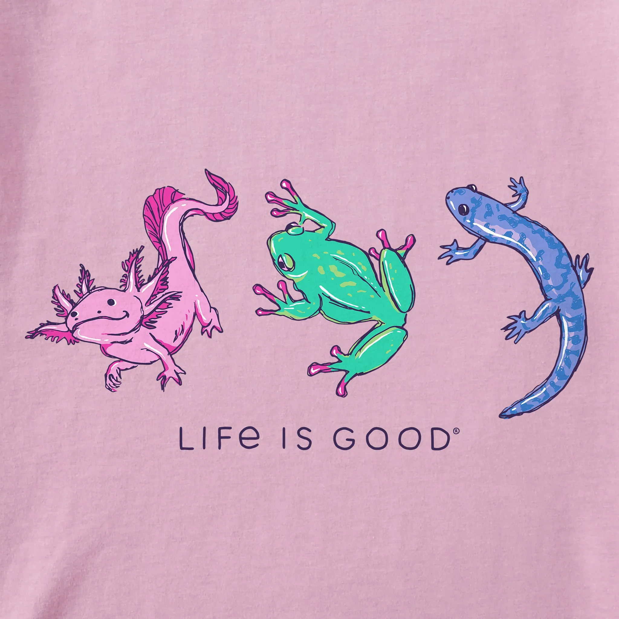 Kids Amphibious Trio Short Sleeve Crusher Tee Life is Good