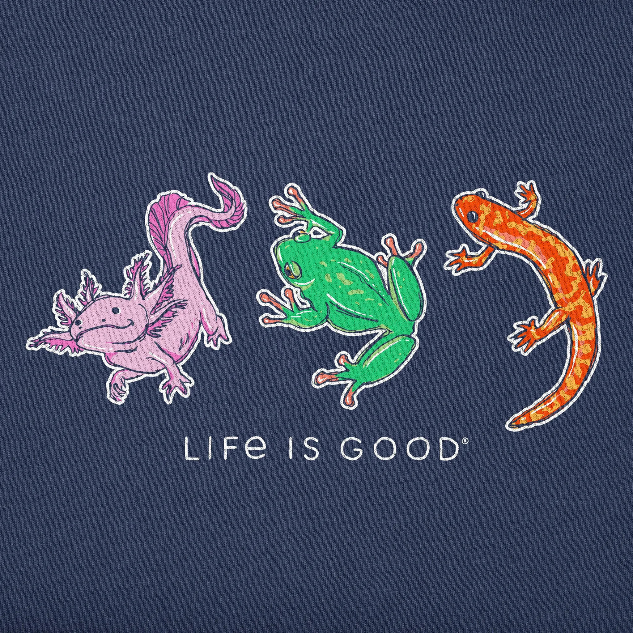 Kids Amphibious Trio Short Sleeve Crusher Tee Life is Good