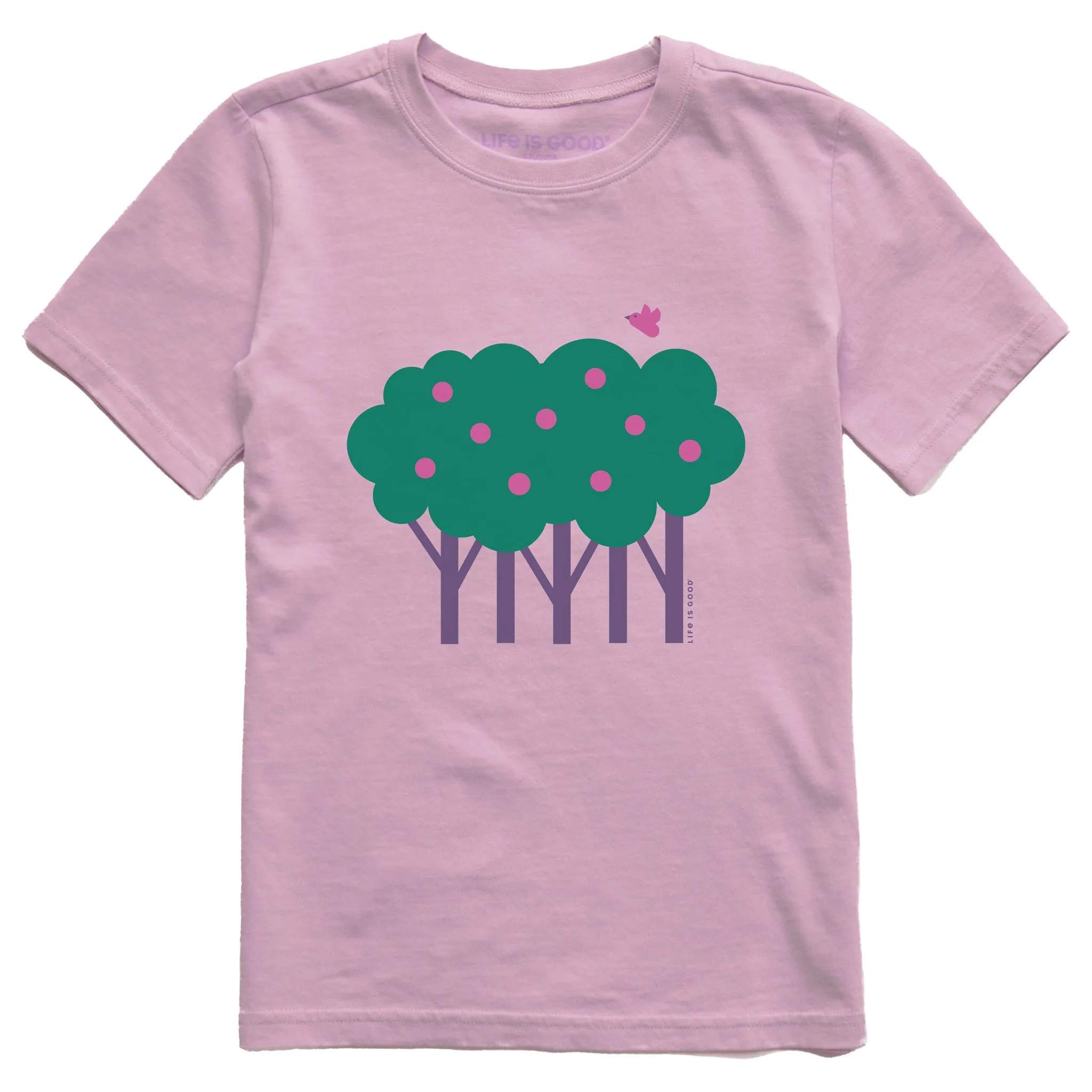 Kids Apple Tree Short Sleeve Crusher Tee Life is Good