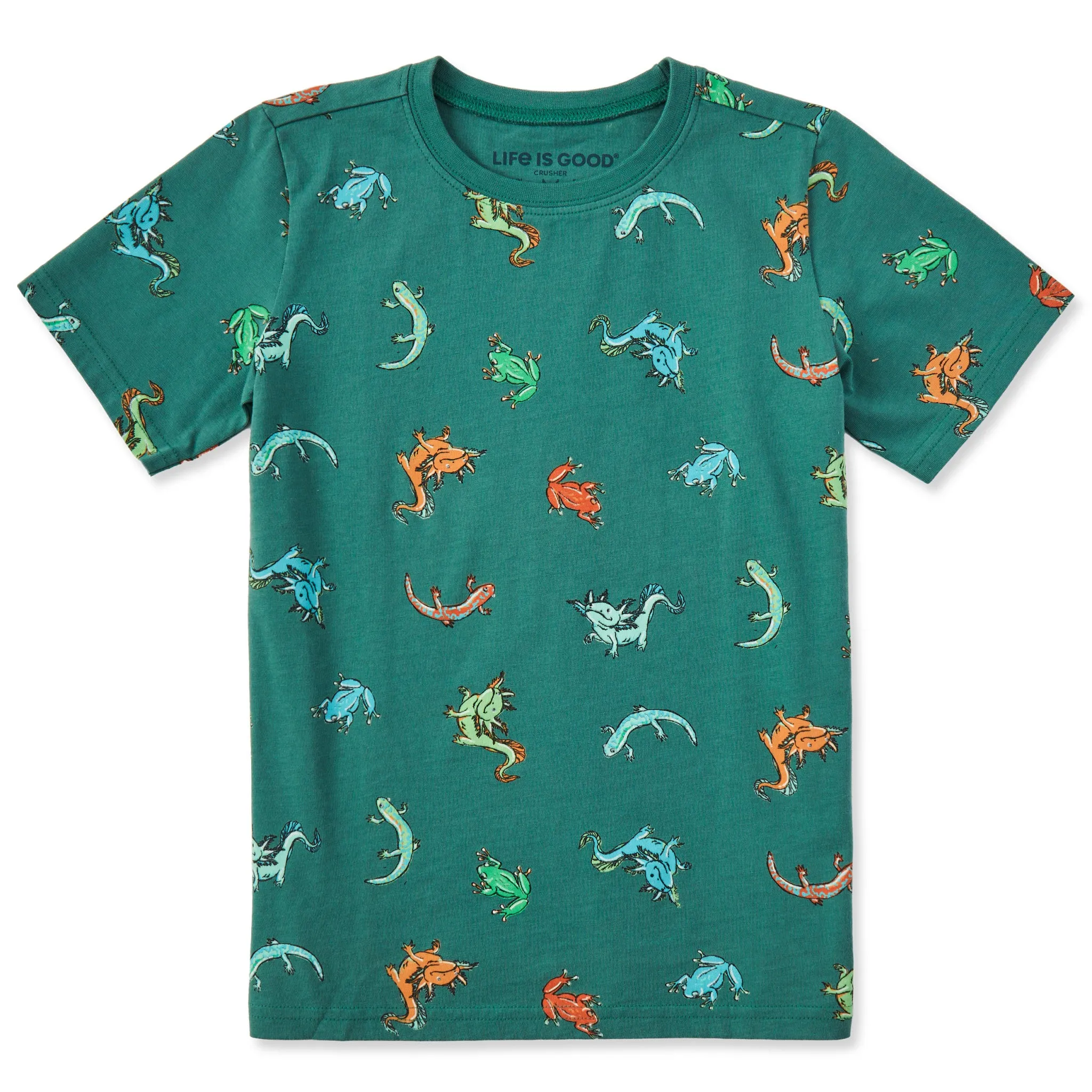 Kids Axolotl and Amphibians Pattern Short Sleeve Crusher Tee Life is Good