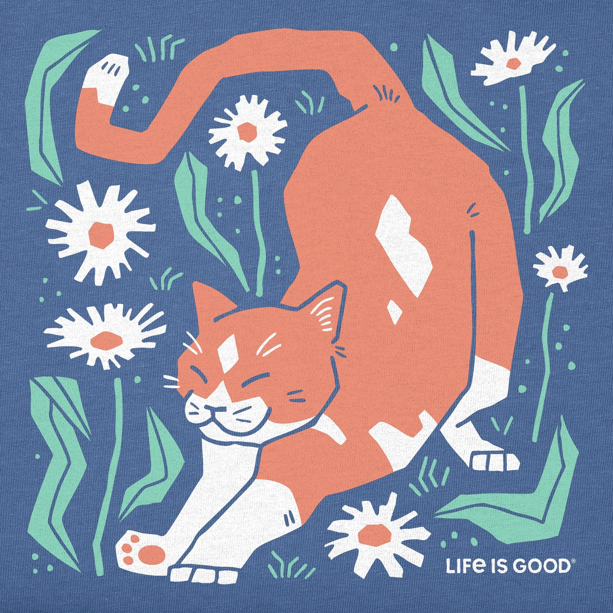 Kids Big Stretch Cat Short Sleeve Crusher Tee Life is Good