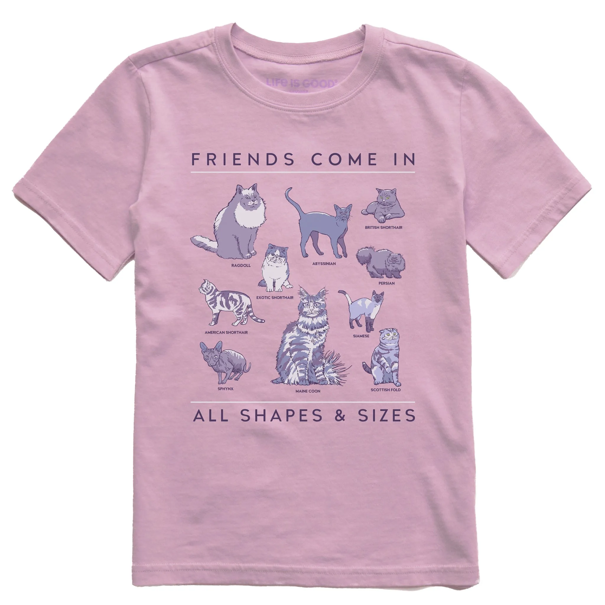 Kids Cat Friends Shapes & Sizes Short Sleeve Crusher Tee Life is Good