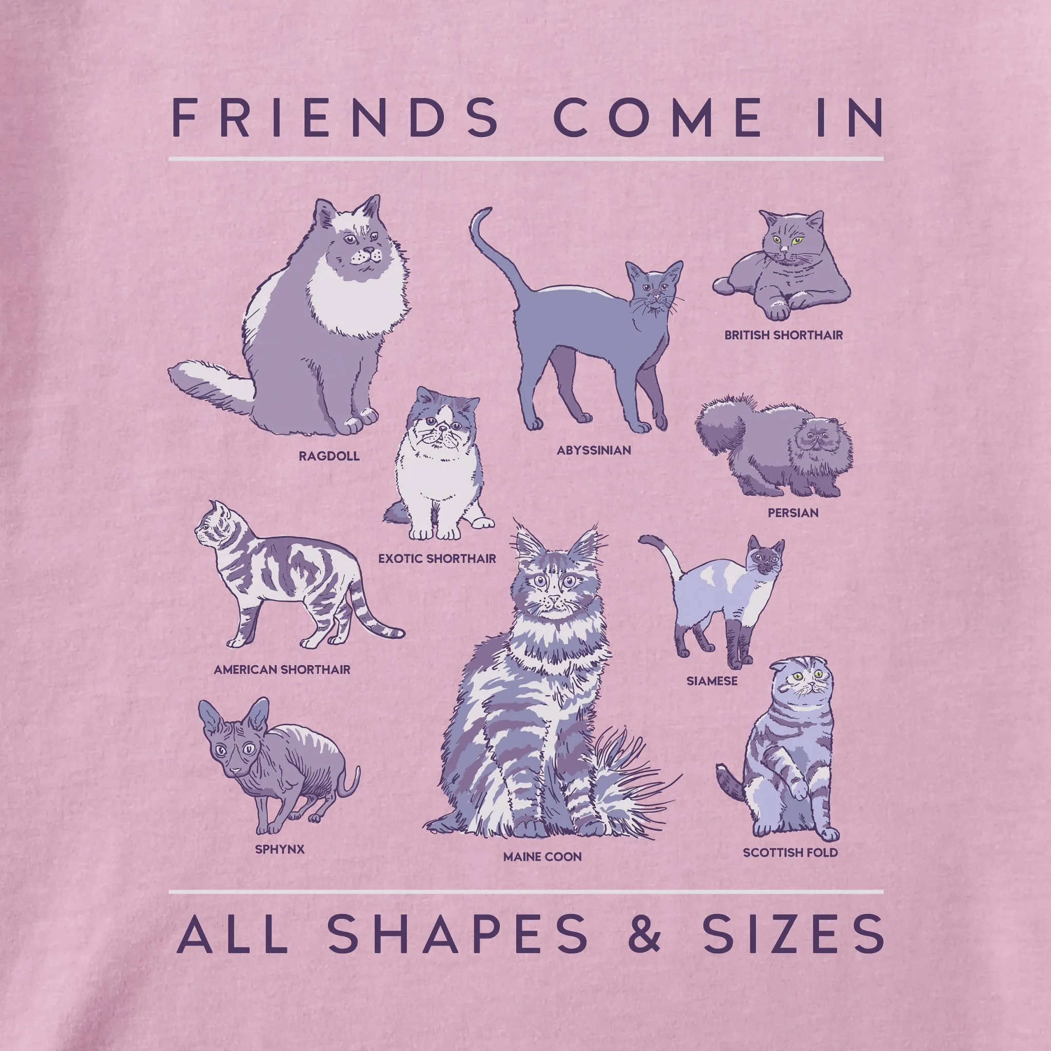 Kids Cat Friends Shapes & Sizes Short Sleeve Crusher Tee Life is Good