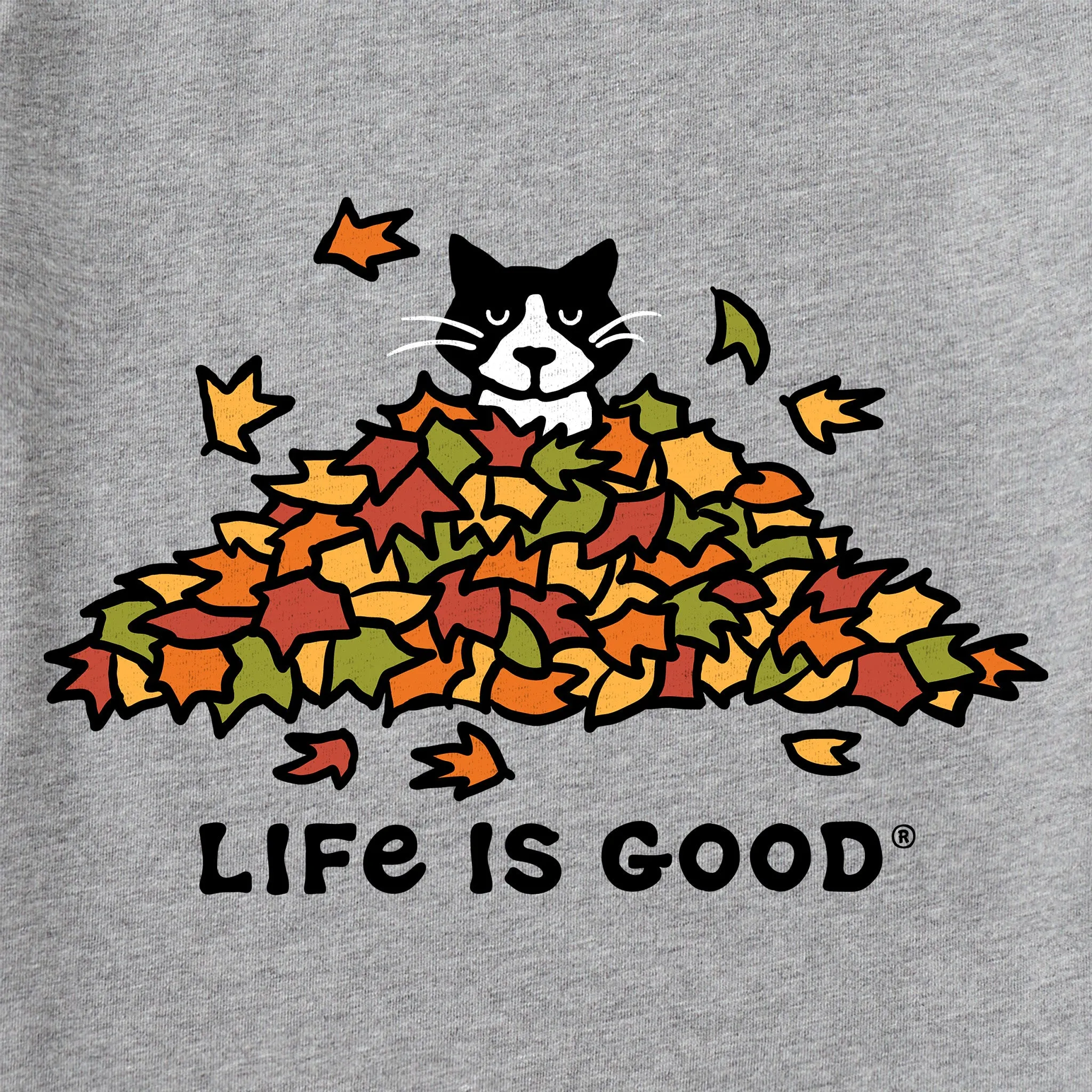 Kids Cat Gets Up and Leaves Short Sleeve Crusher Tee Life is Good