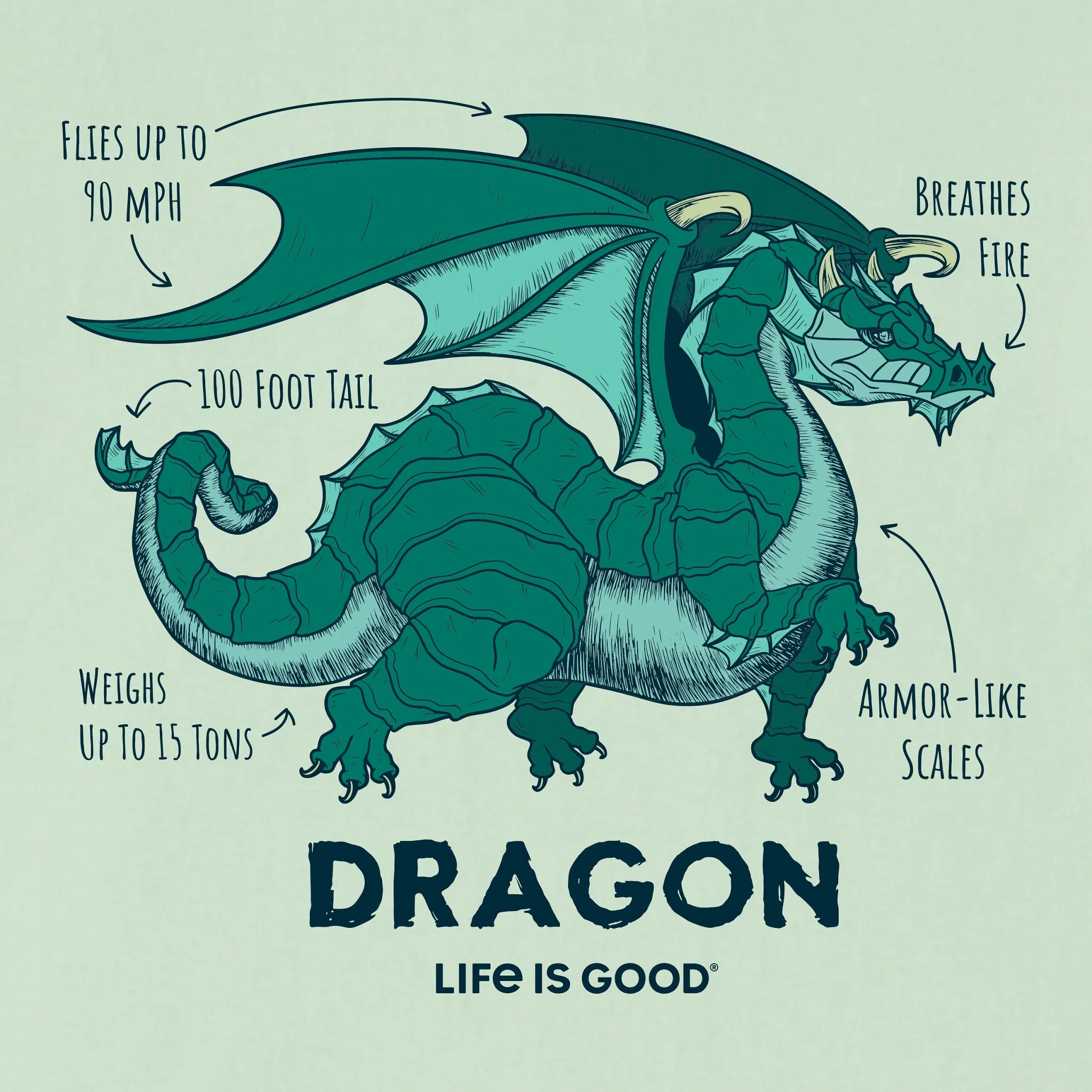 Kids Dragon Facts Short Sleeve Crusher Tee Life is Good