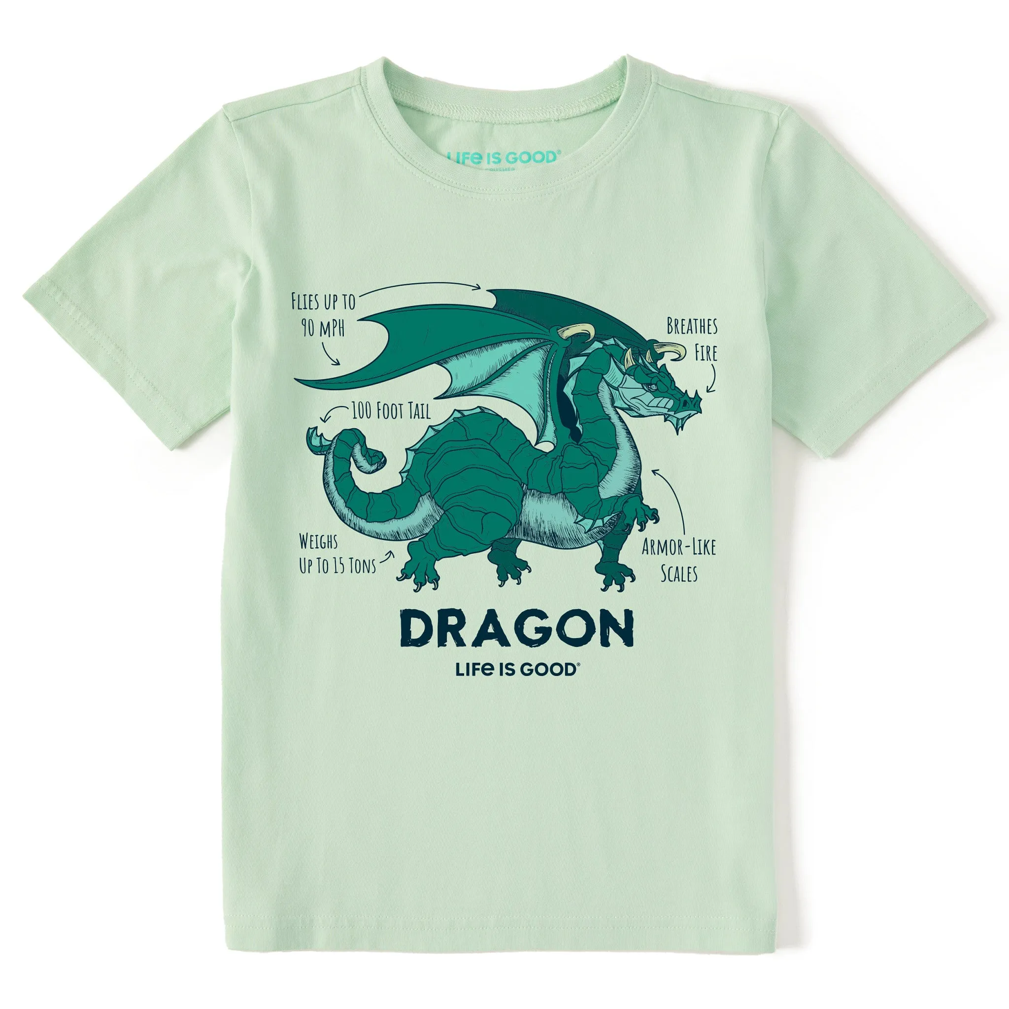 Kids Dragon Facts Short Sleeve Crusher Tee Life is Good