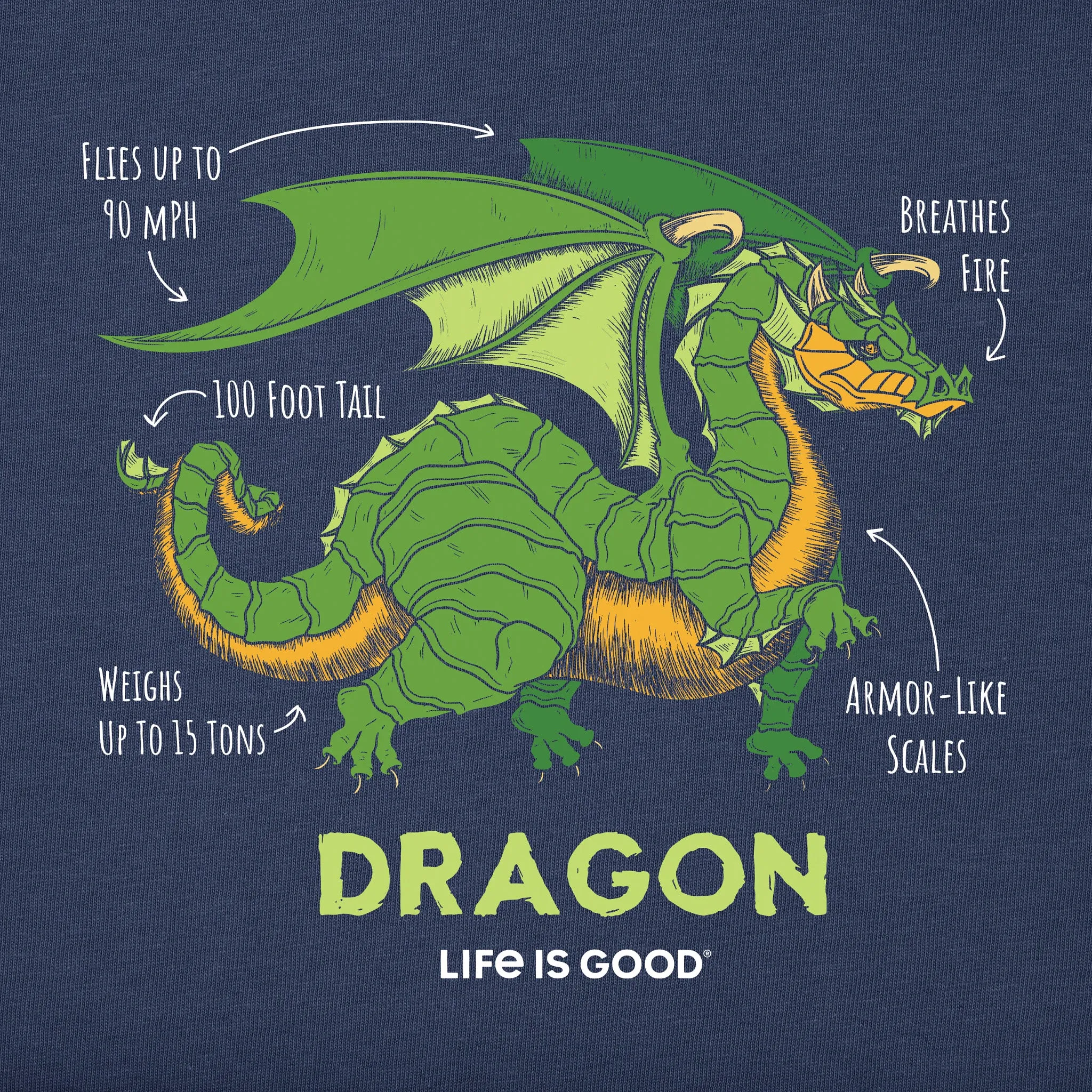 Kids Dragon Facts Short Sleeve Crusher Tee Life is Good