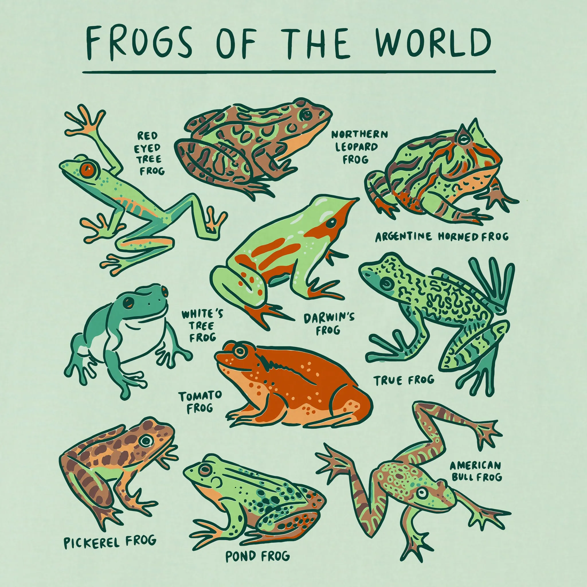 Kids Frogs of the World Short Sleeve Crusher Tee Life is Good