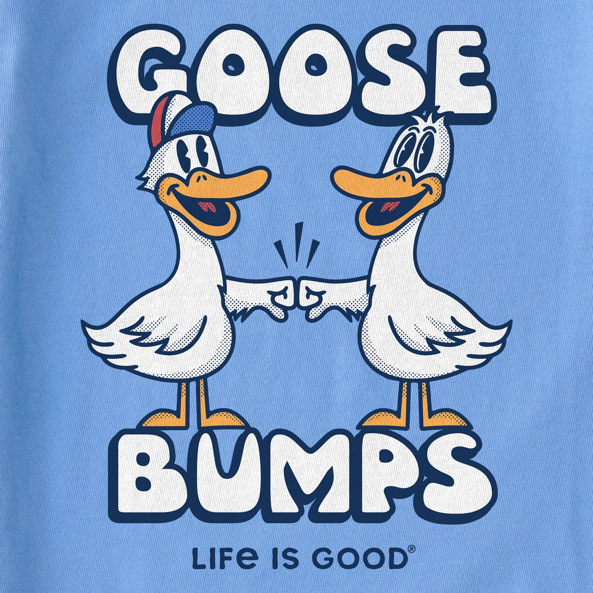 Kids Goose Bumps Mascot Short Sleeve Crusher Tee Life is Good