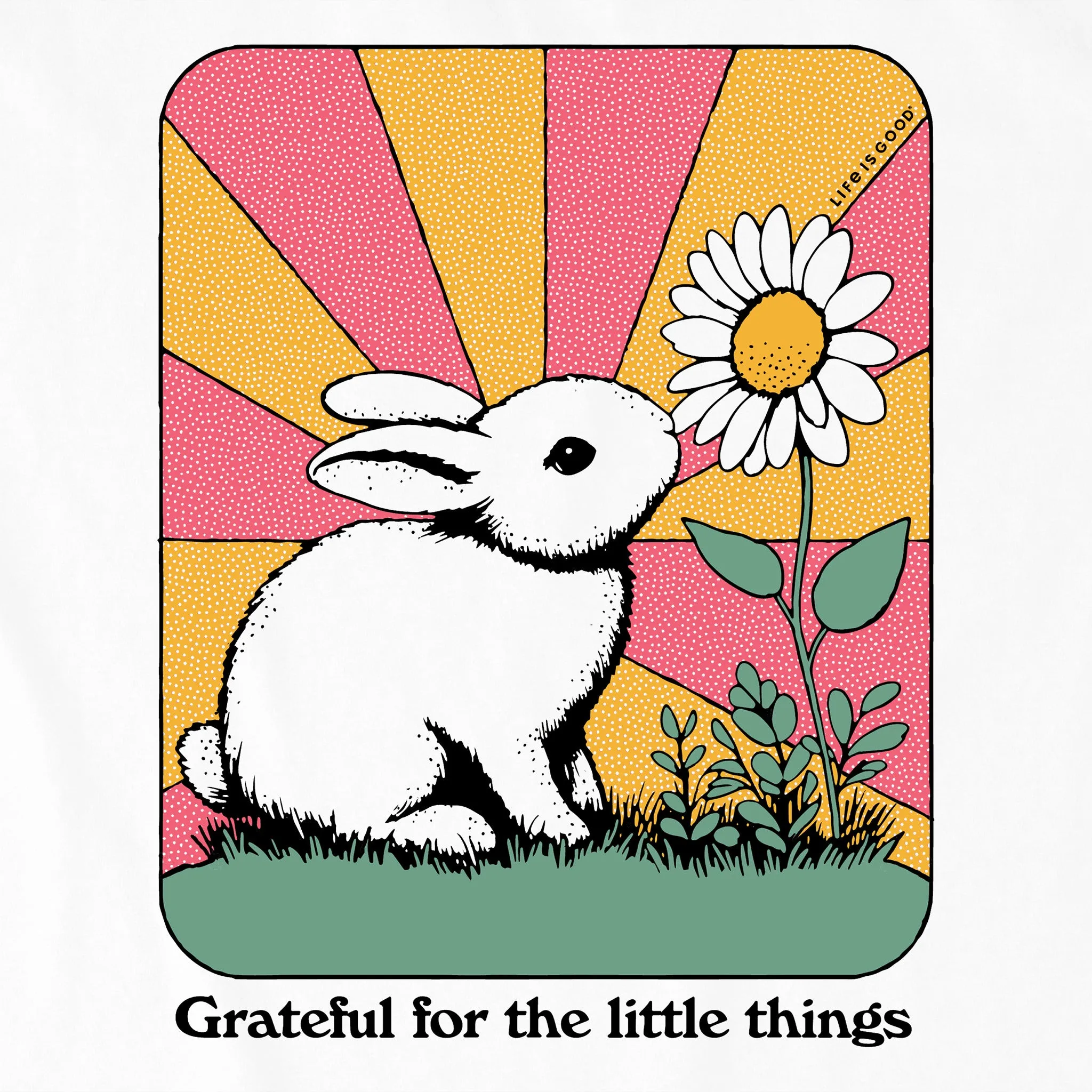 Kids Grateful for the Little Things Bunny Short Sleeve Crusher Tee Life is Good