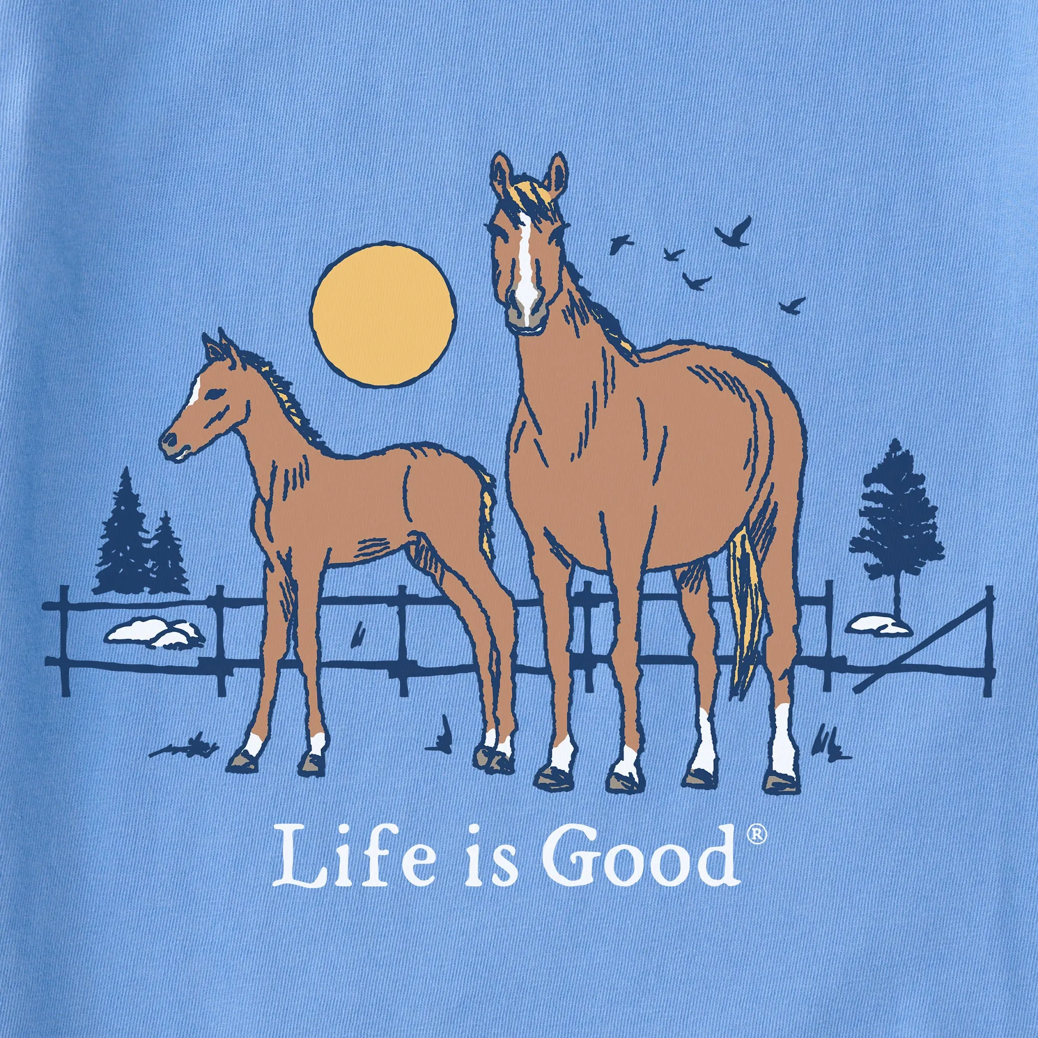 Kids Horse and Foal Short Sleeve Crusher Tee Life is Good