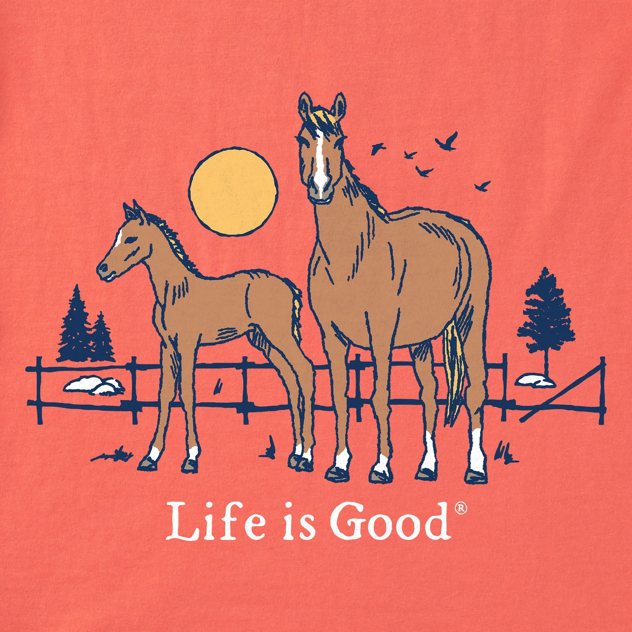 Kids Horse and Foal Short Sleeve Crusher Tee Life is Good