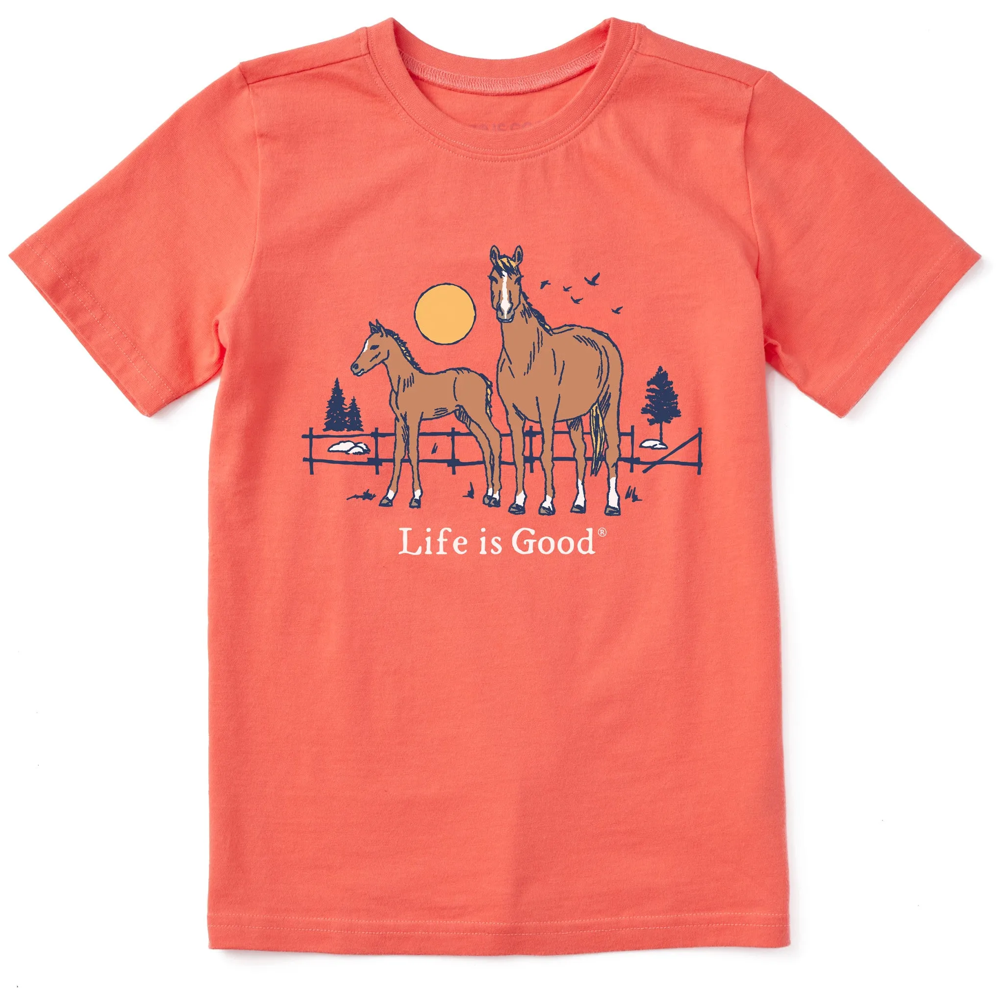 Kids Horse and Foal Short Sleeve Crusher Tee Life is Good
