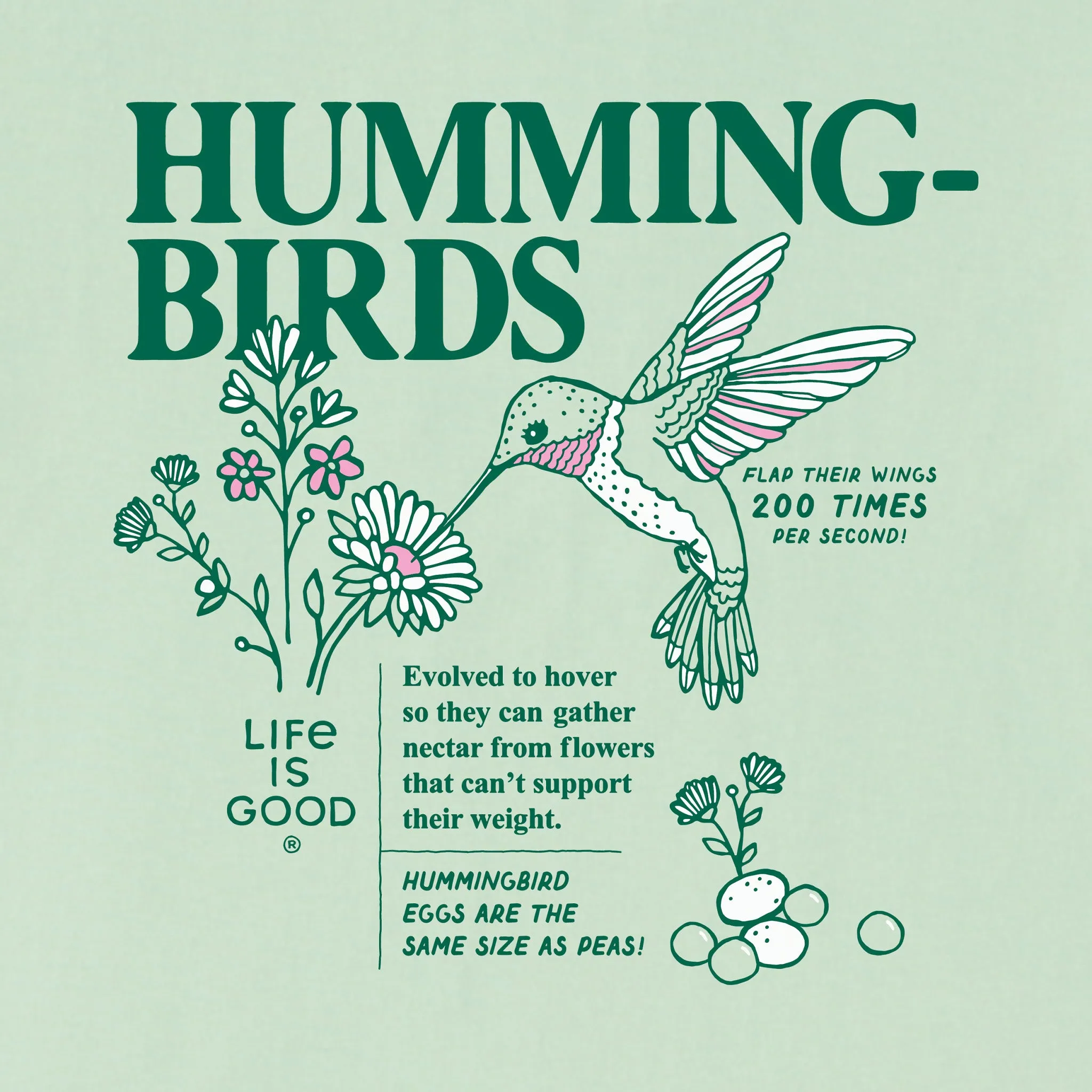 Kids Hummingbird Facts Short Sleeve Crusher Tee Life is Good