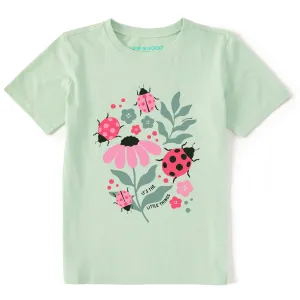 Kids It's the Little Ladybug Things Short Sleeve Crusher Tee Life is Good