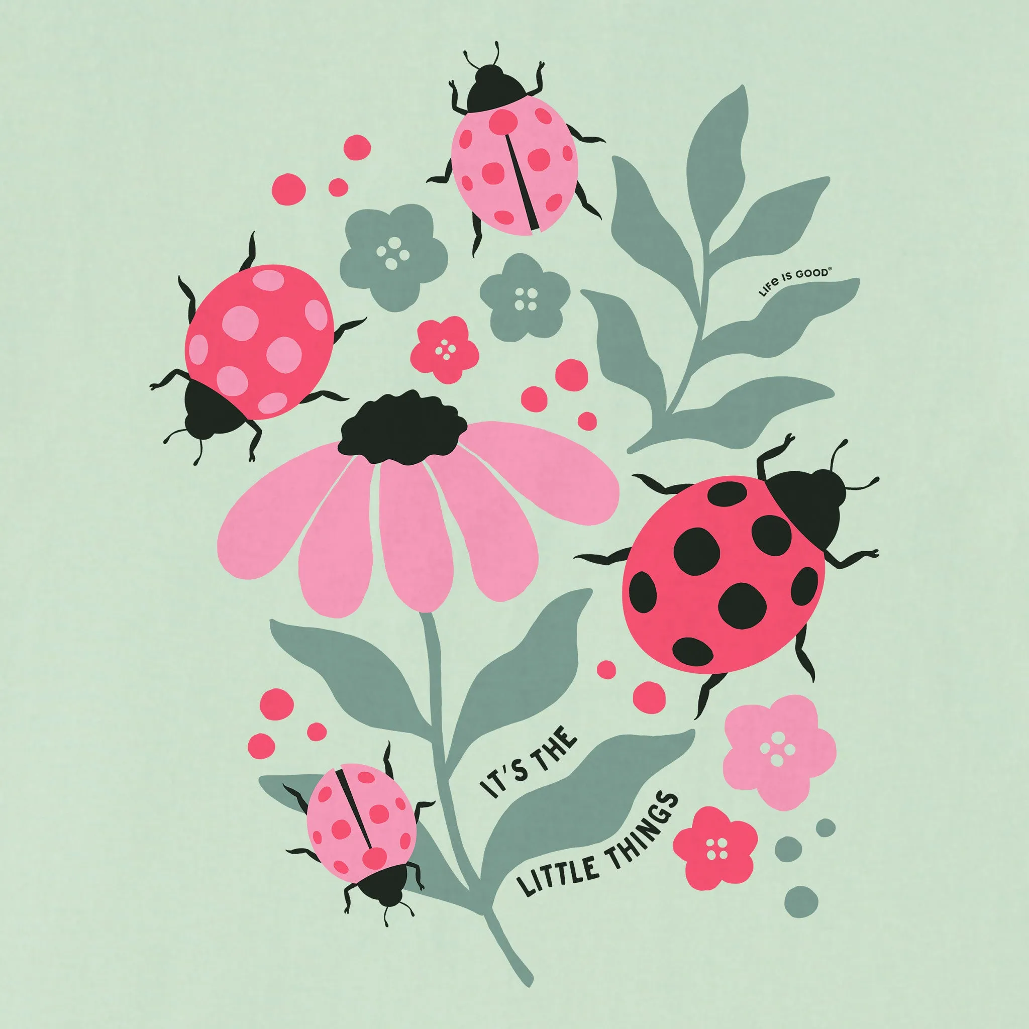 Kids It's the Little Ladybug Things Short Sleeve Crusher Tee Life is Good