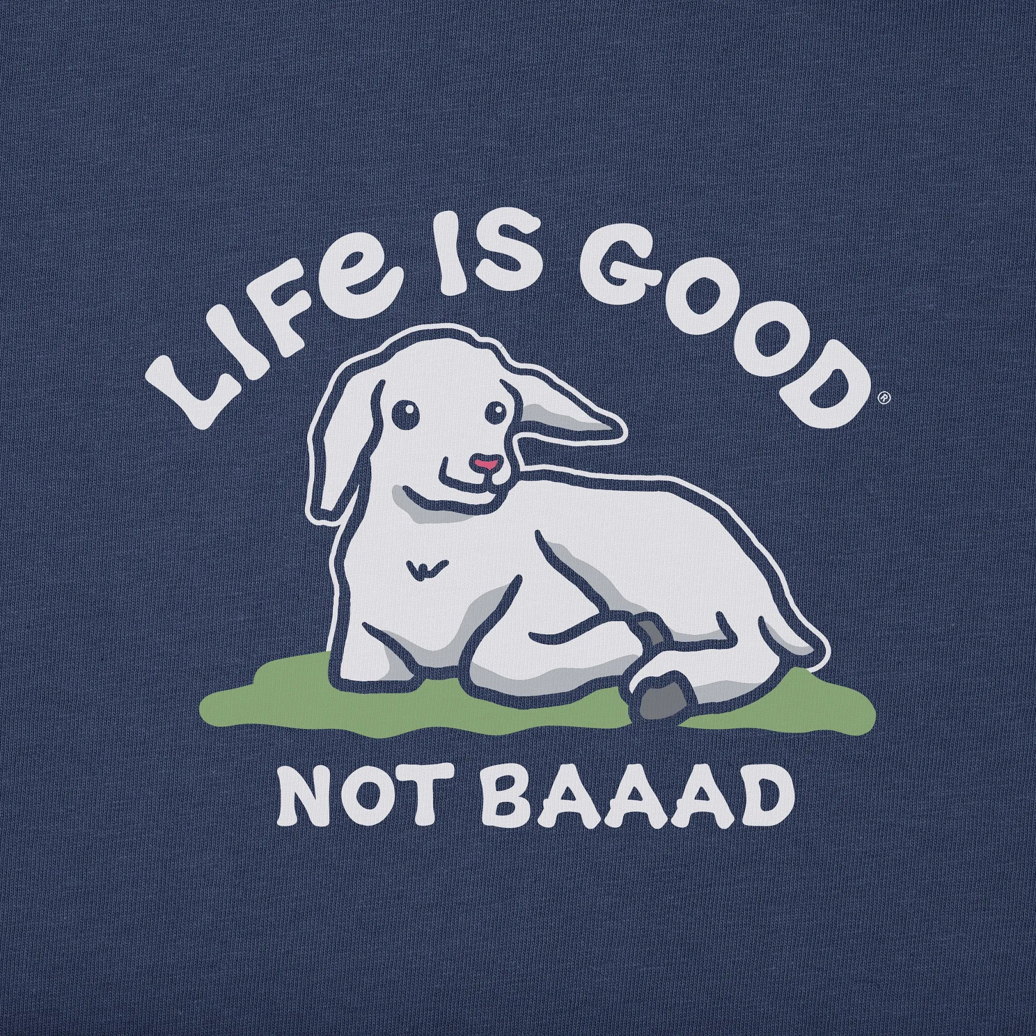 Kids Not Baaad Baby Goat Short Sleeve Crusher Tee Life is Good