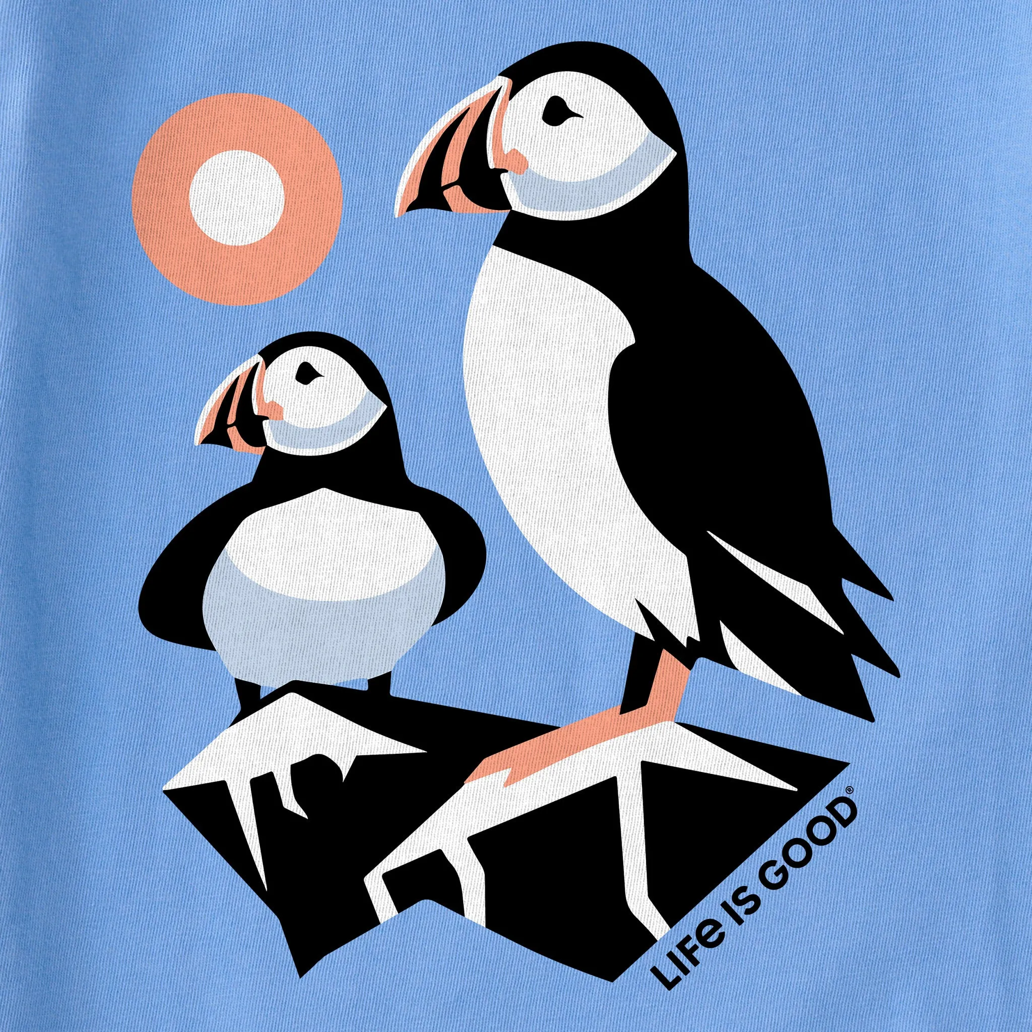 Kids Pair of Puffins Short Sleeve Crusher Tee Life is Good