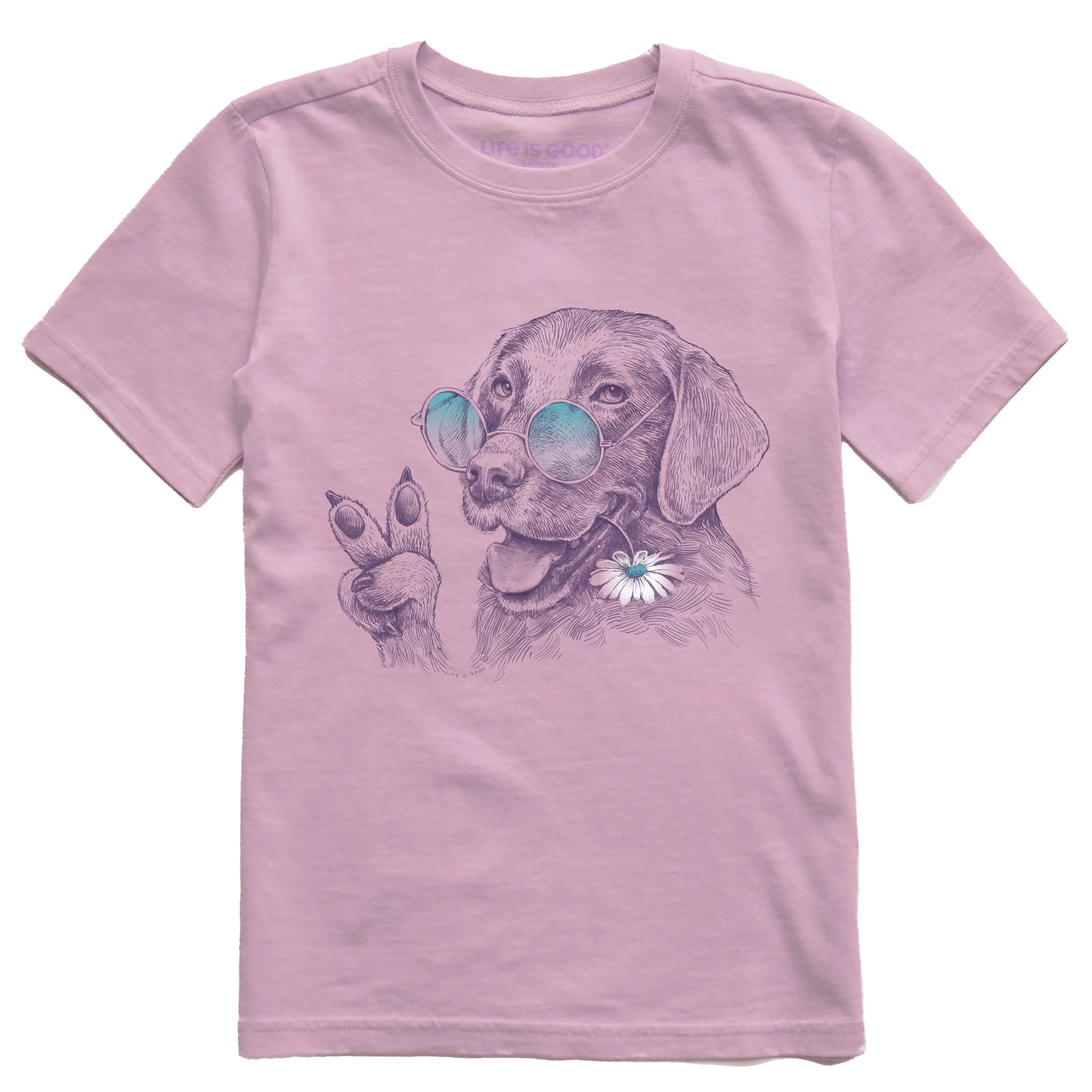 Kids Peaceful Hippie Hound w Daisy Short Sleeve Crusher Tee Life is Good