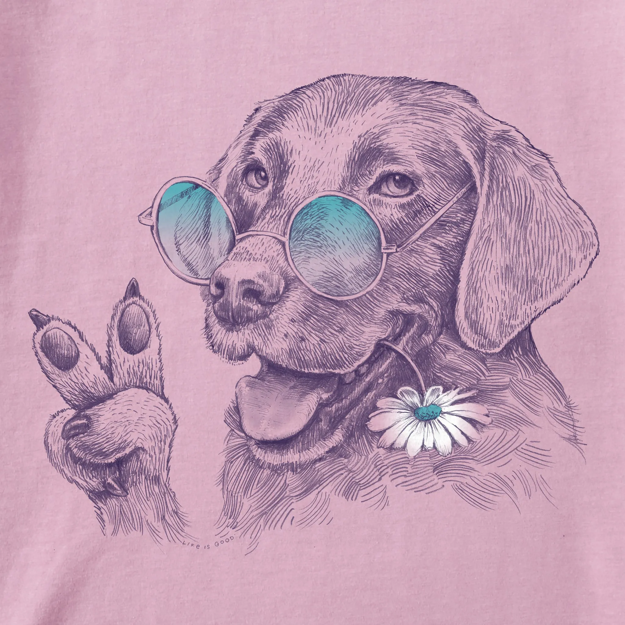 Kids Peaceful Hippie Hound w Daisy Short Sleeve Crusher Tee Life is Good