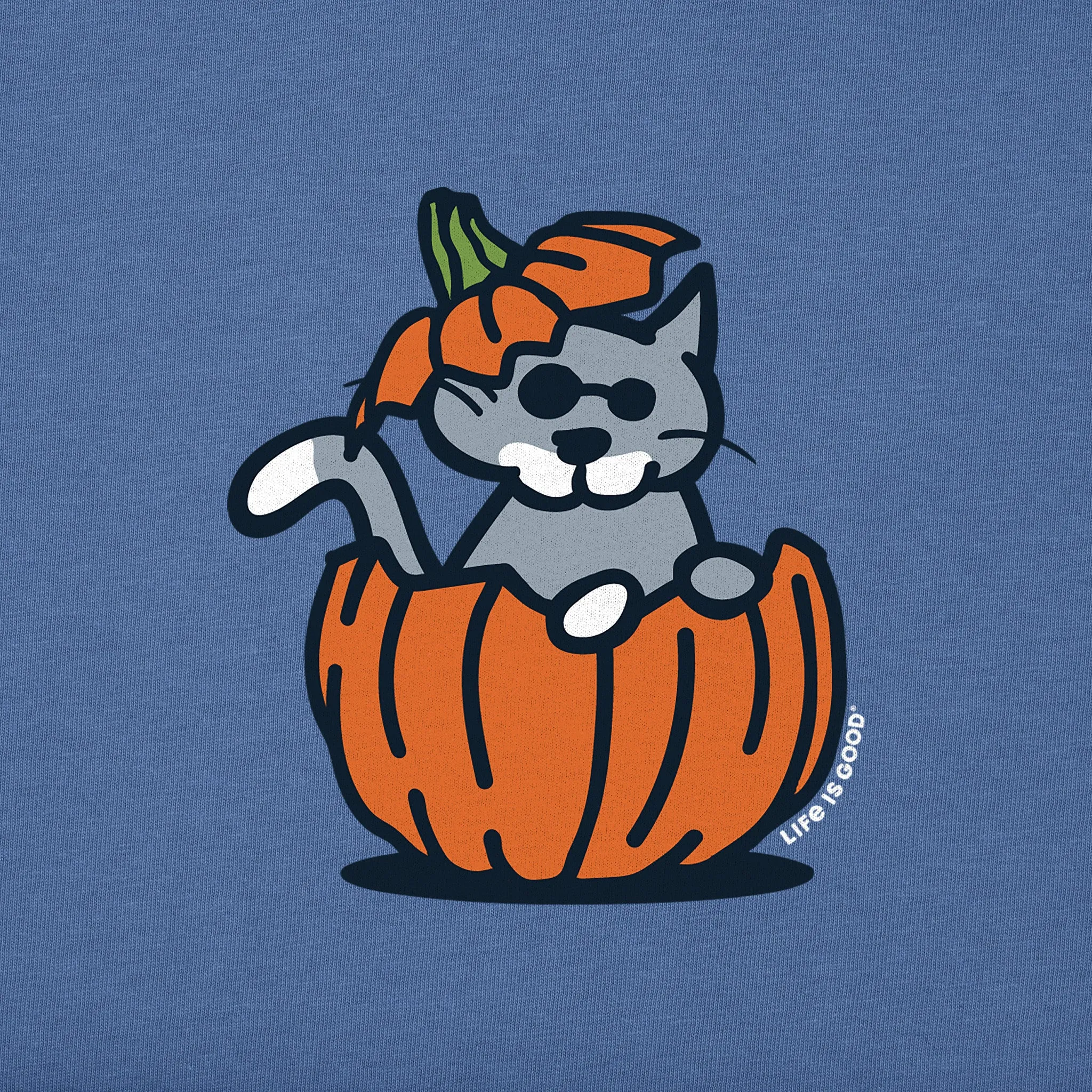 Kids Pumpkin House Cat Short Sleeve Crusher Tee Life is Good