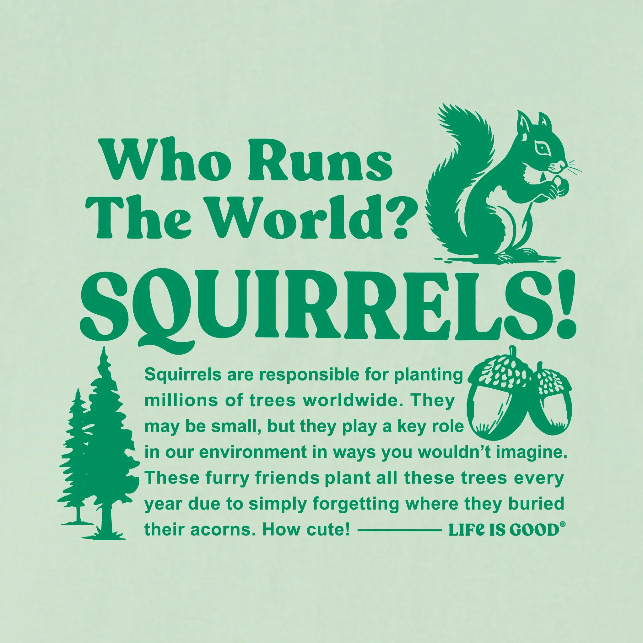 Kids Squirrels Run the World Short Sleeve Crusher Tee Life is Good