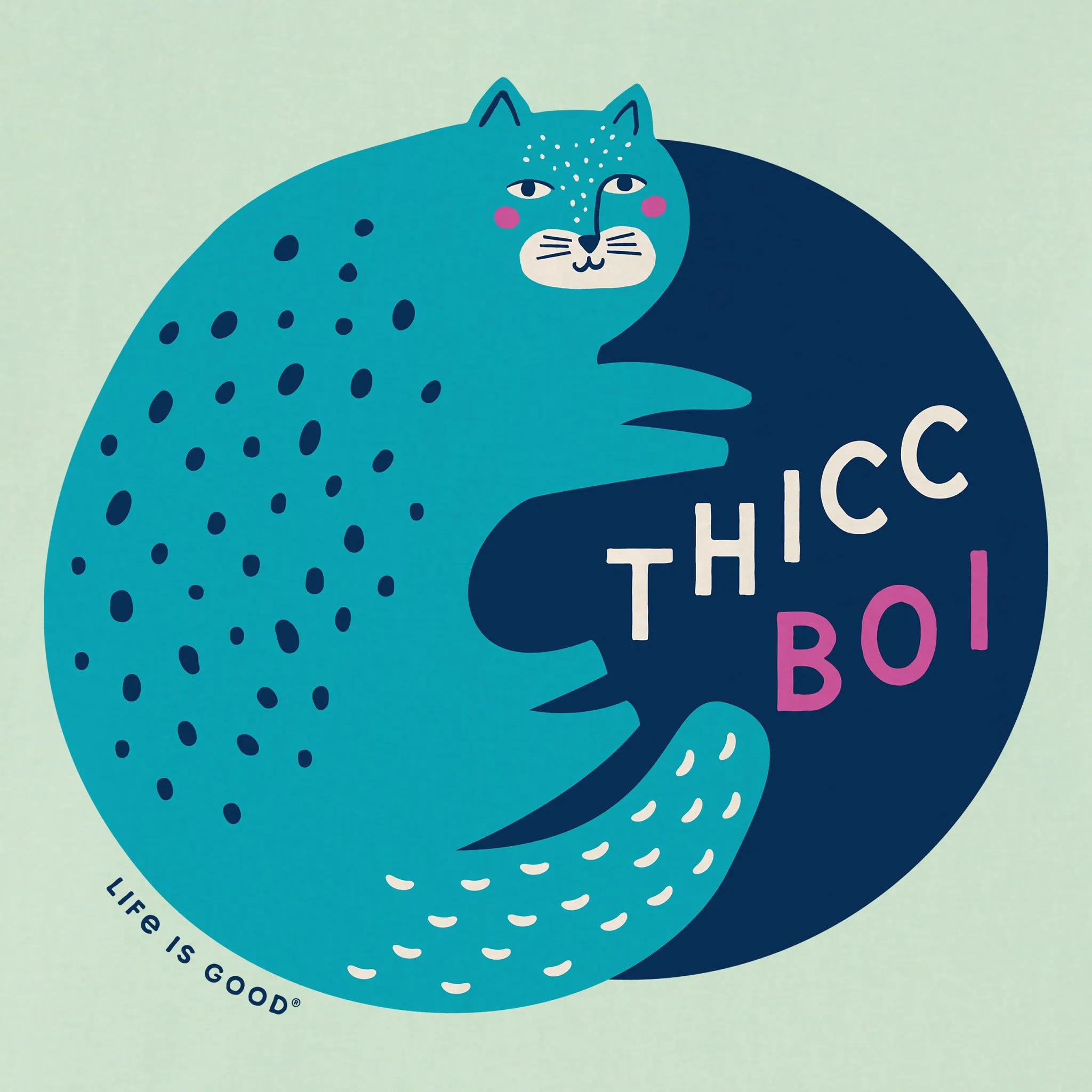 Kids Thicc Boi Cat Short Sleeve Crusher Tee Life is Good