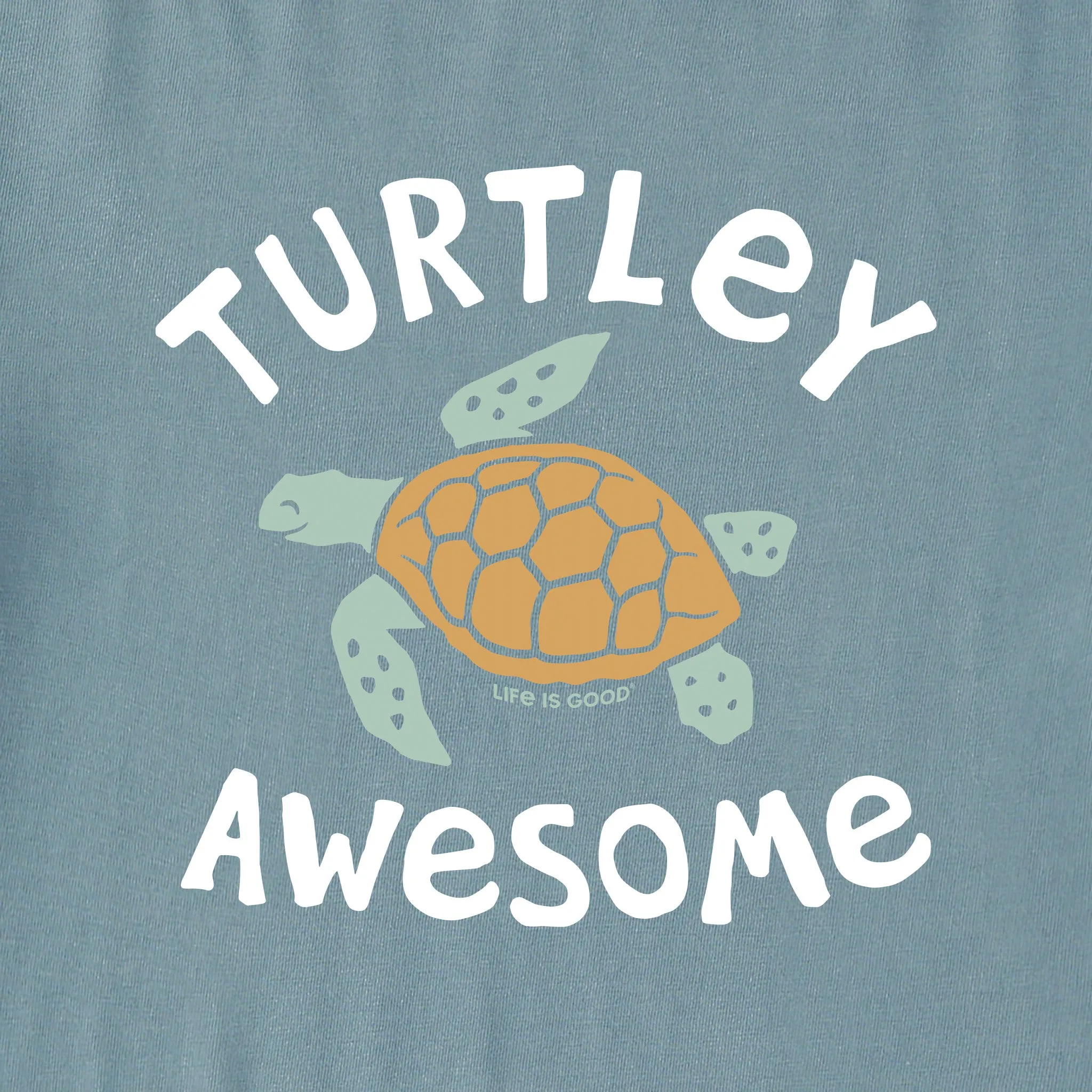 Kids Turtley Awesome Long Sleeve Crusher Tee Life is Good