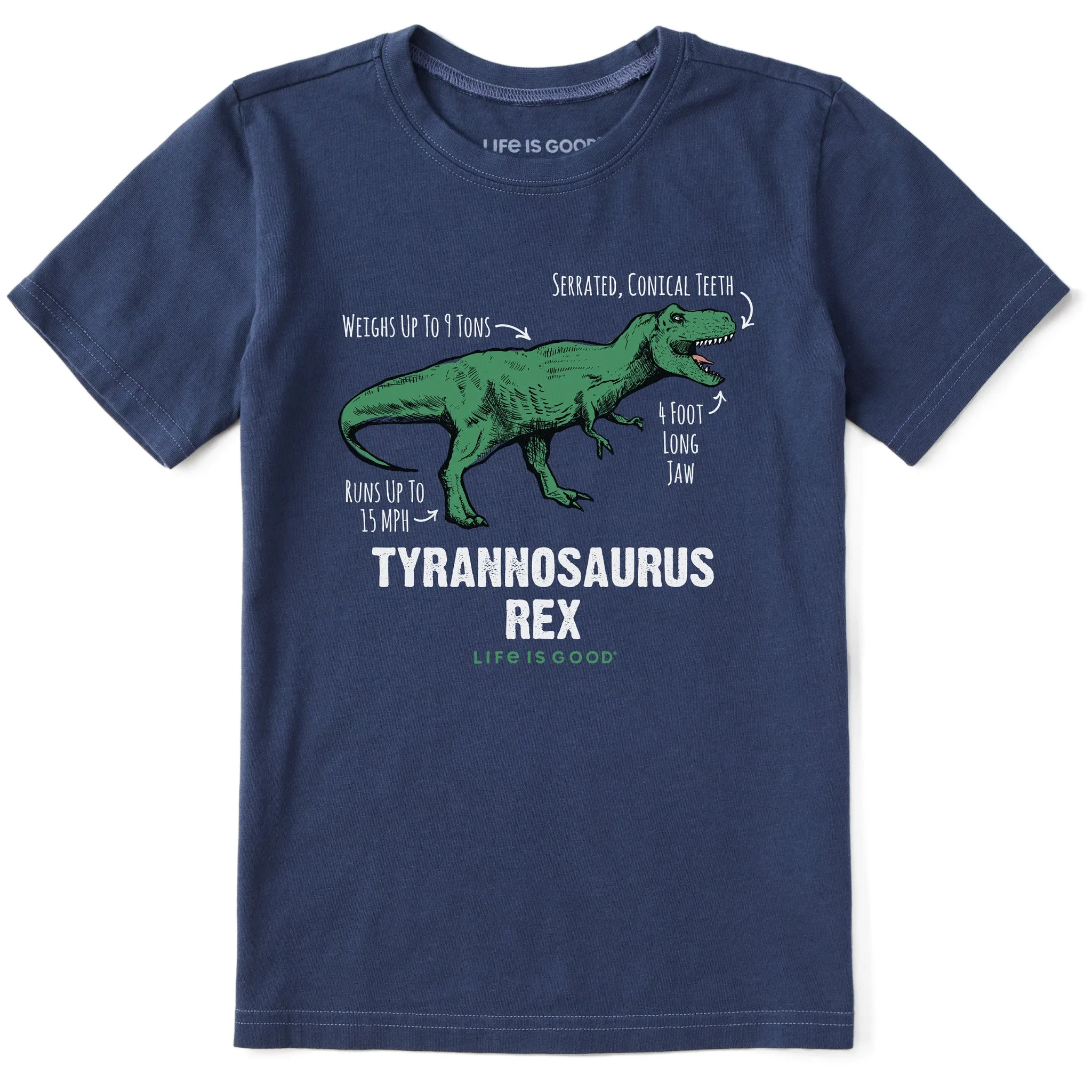 Kids Tyrannosaurus Rex Short Sleeve Crusher Tee Life is Good