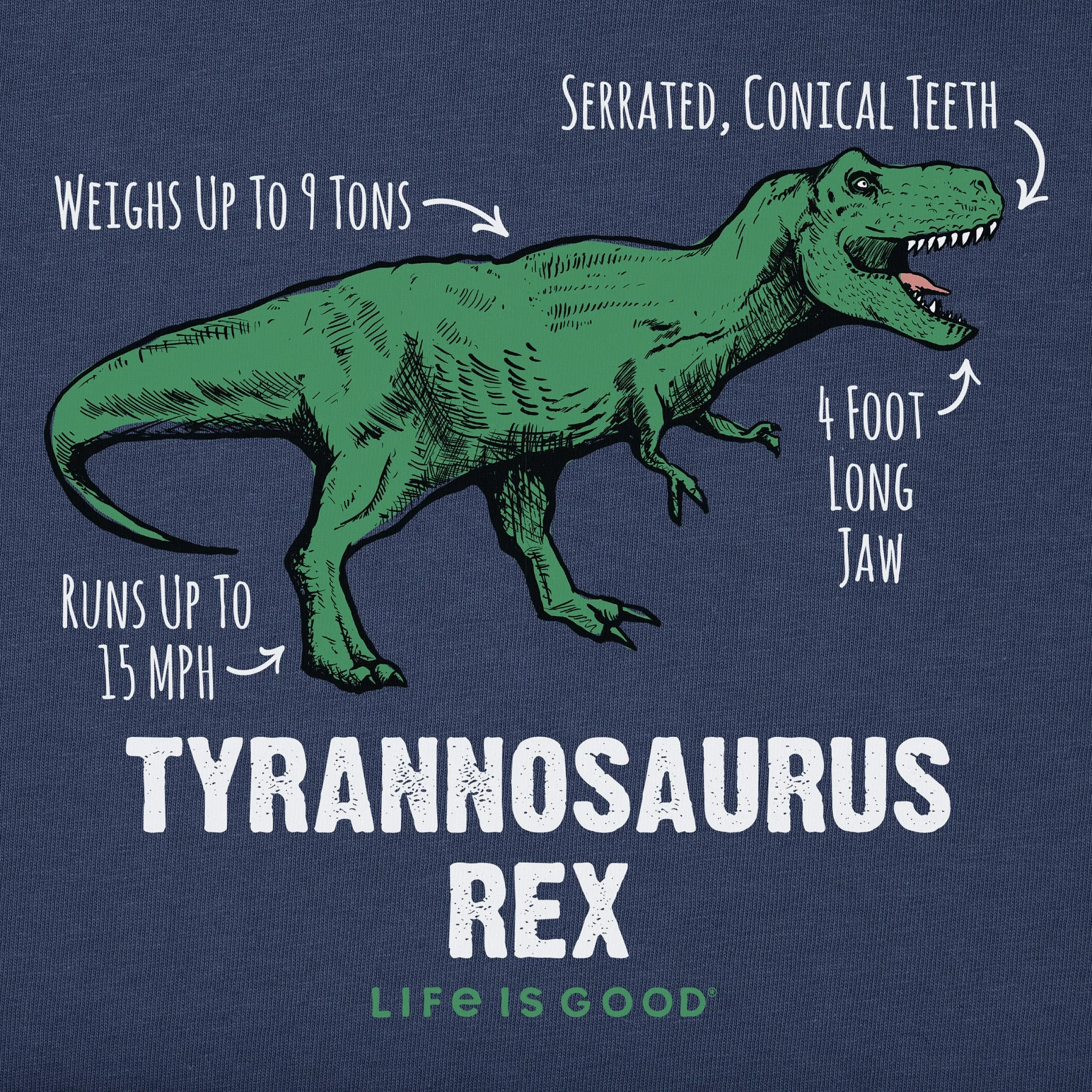 Kids Tyrannosaurus Rex Short Sleeve Crusher Tee Life is Good