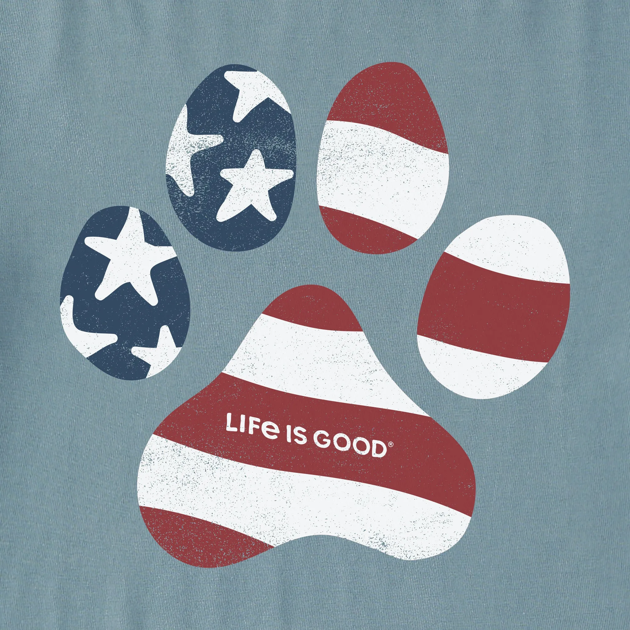 Kids US Flag Paw Short Sleeve Crusher Tee Life is Good