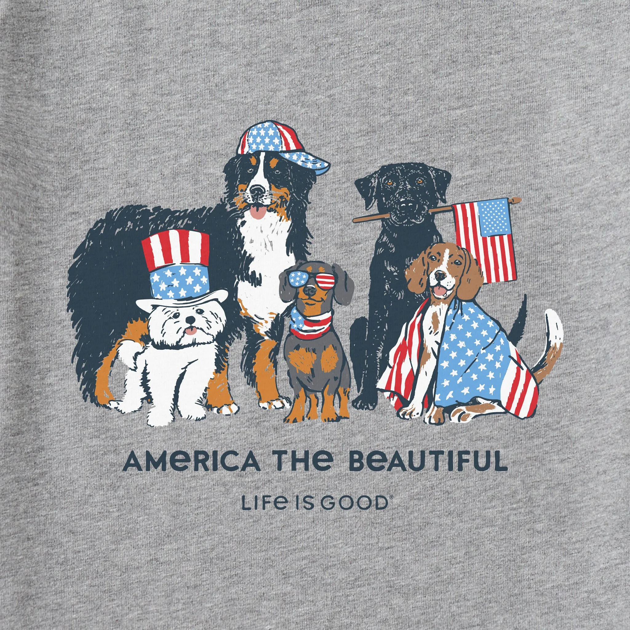Men's America the Beautiful USA Dogs Short Sleeve Tee Life is Good