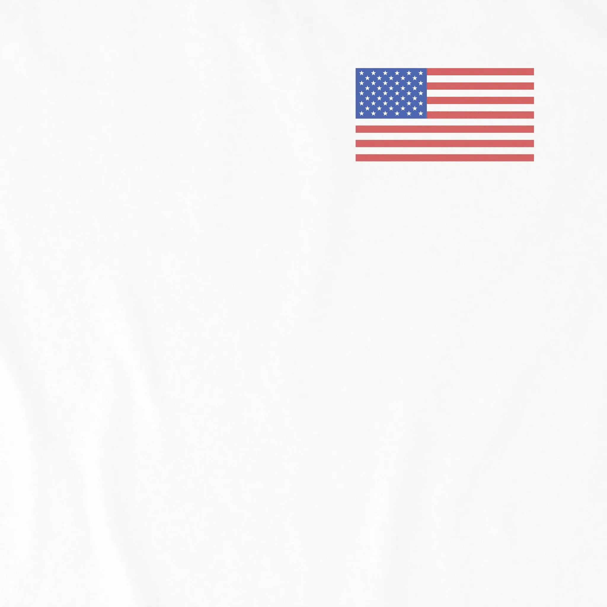 Men's Americana Turtle Short Sleeve Tee Life is Good