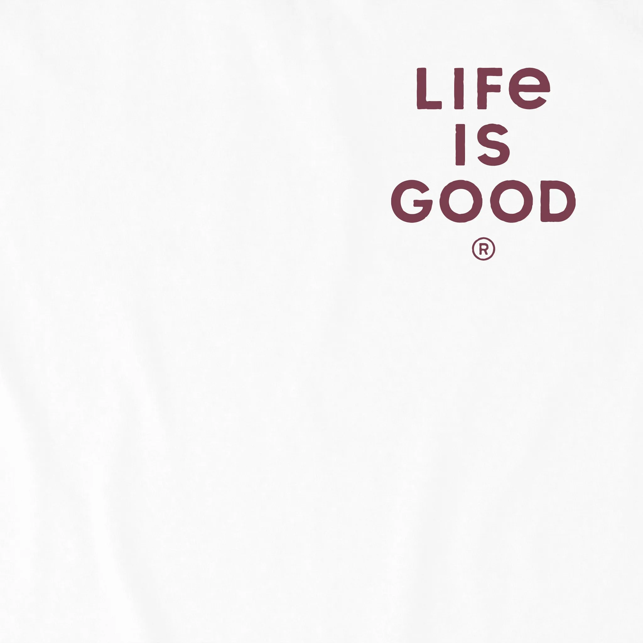 Men's Berts Beer Manifesto Short Sleeve Crusher Tee Life is Good