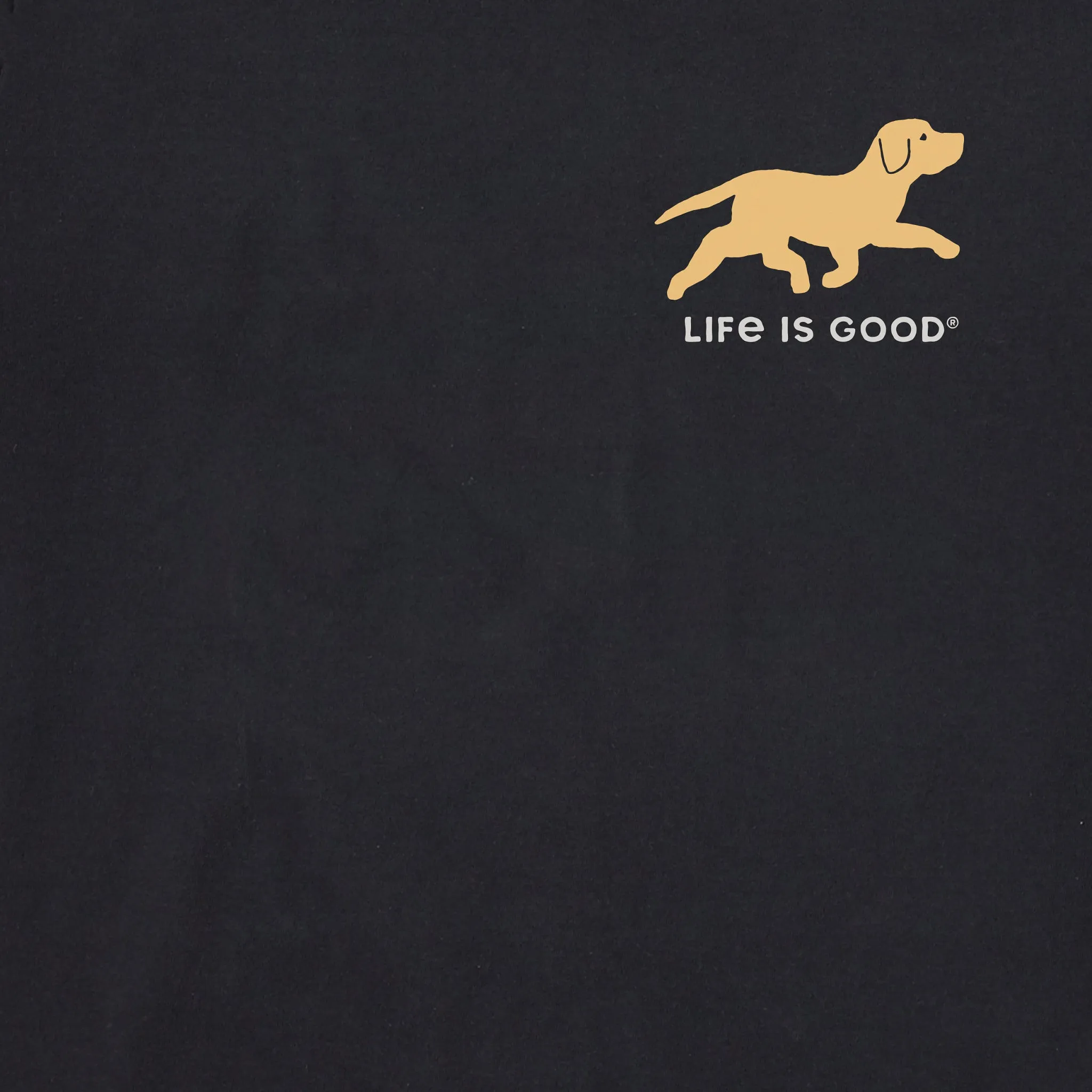 Men's Black Lab Retrievin' Short Sleeve Tee Life is Good