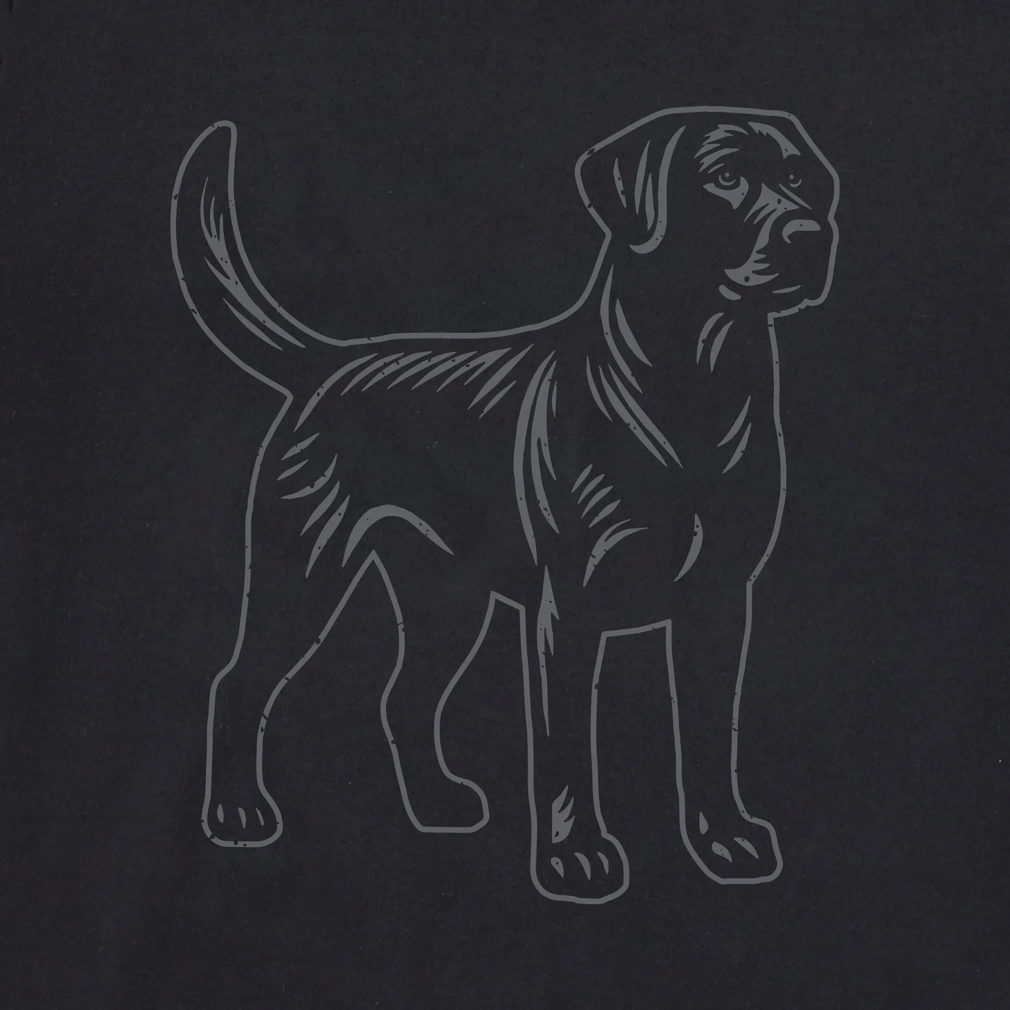 Men's Clean Labrador Short Sleeve Tee Life is Good