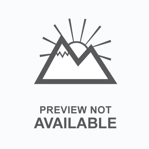 Men's I Like it Here Take it Outside Mountains Short Sleeve Tee Life is Good