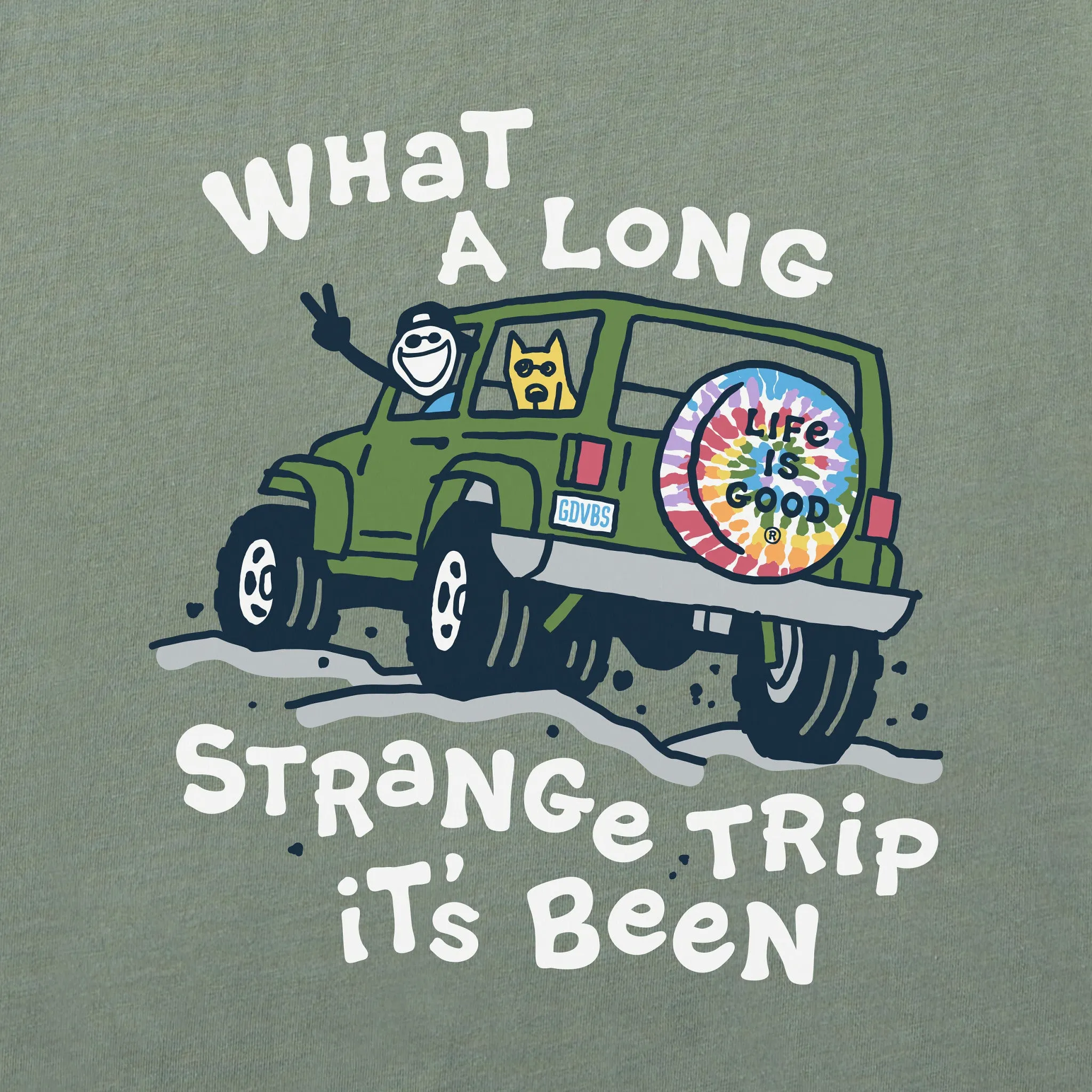 Men's Jake and Rocket Strange Trip Short Sleeve Tee Life is Good