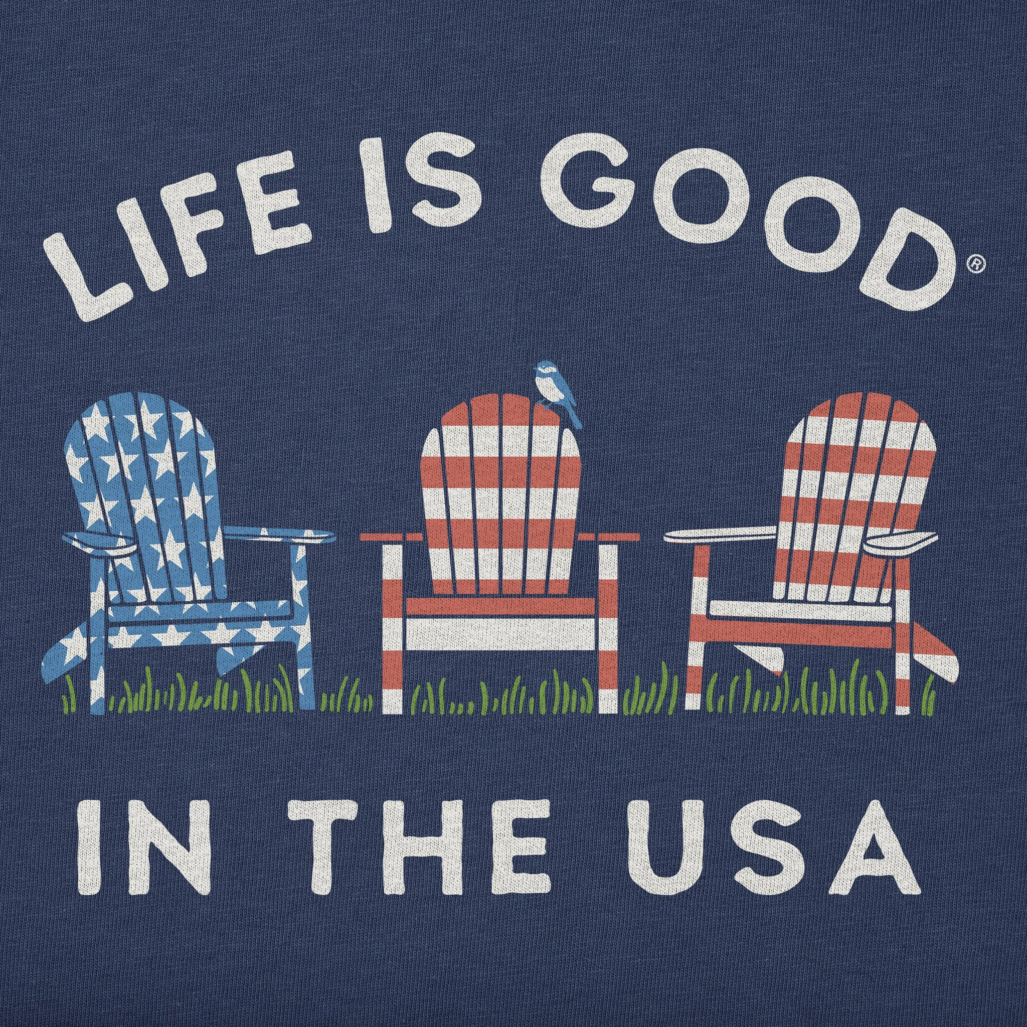 Men's Life is Good in the USA Adirondacks Short Sleeve Tee Life is Good