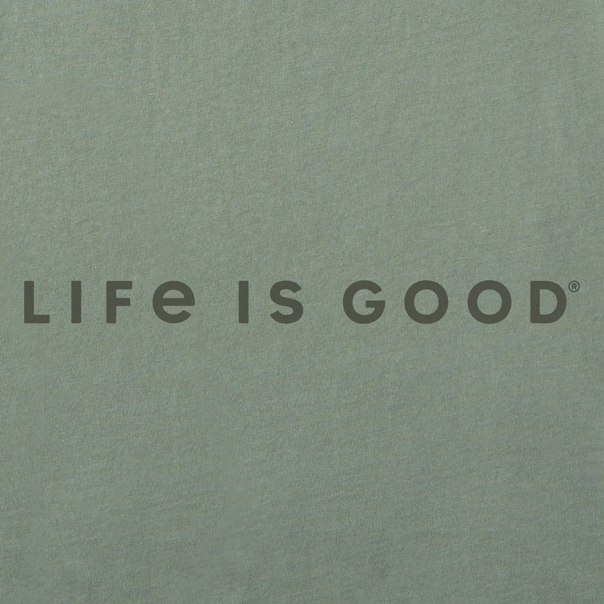Men's LIG Tonal Horizontal Short Sleeve Crusher-LITE Slim Fit Tee Life is Good