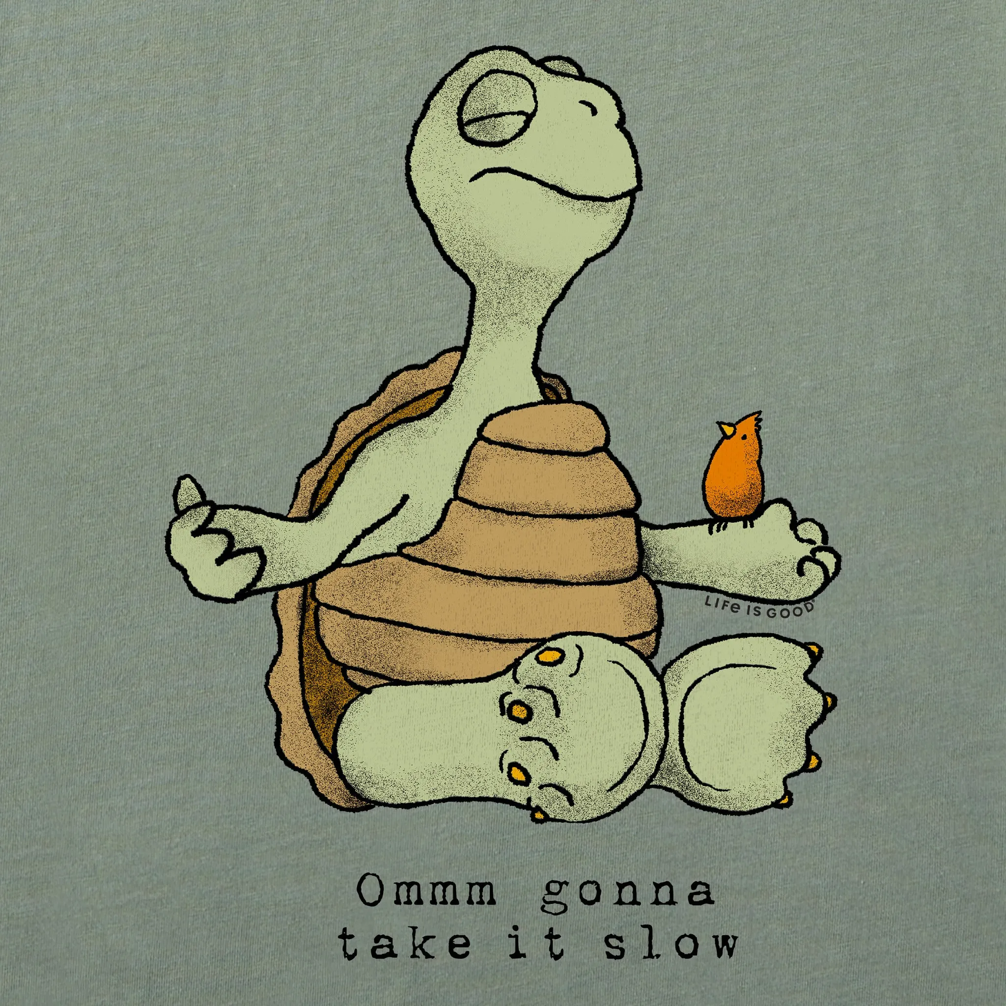 Men's Omm Gonna Take it Slow Turtle Short Sleeve Tee Life is Good