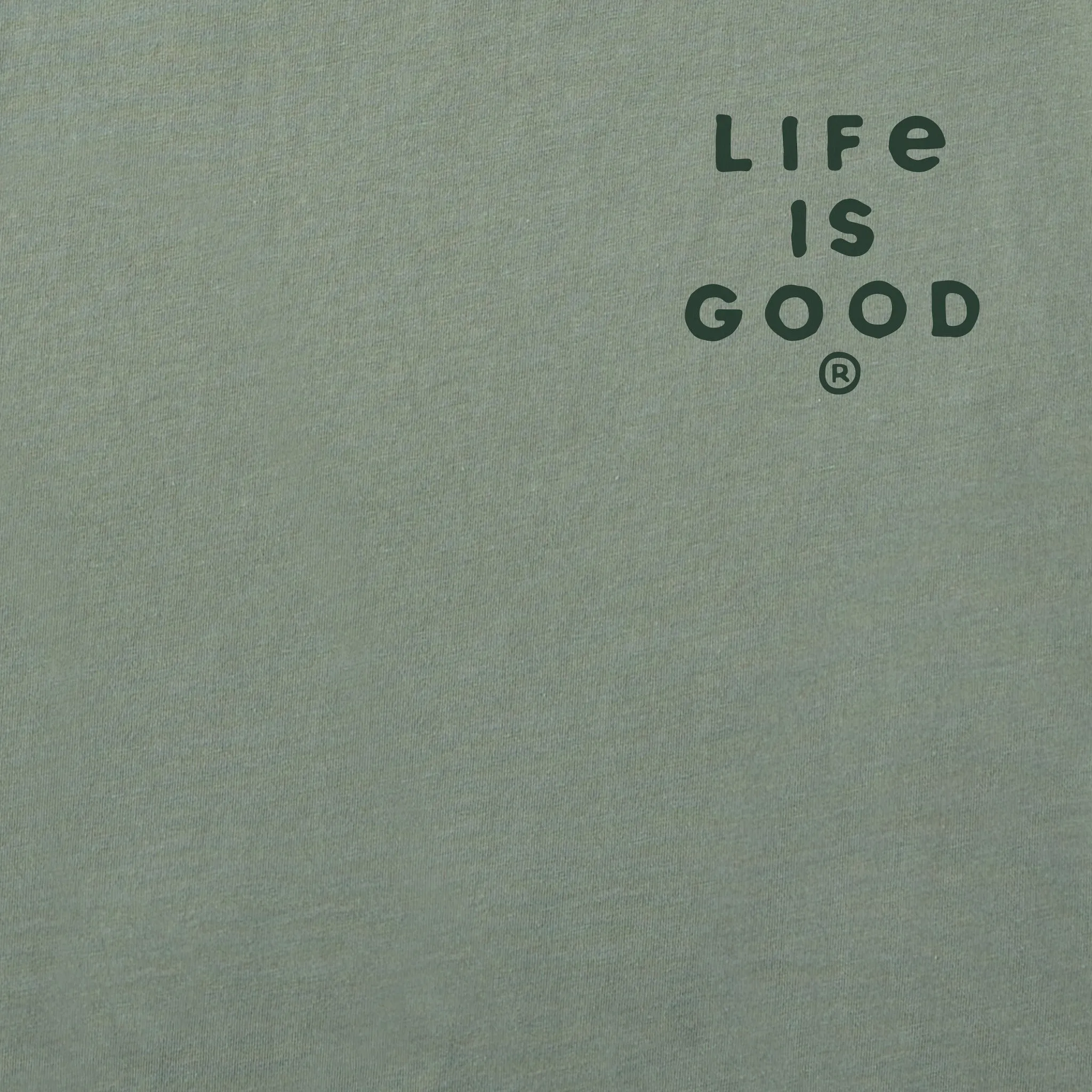 Men's Take a Hike Mountains Short Sleeve Crusher-LITE Tee Life is Good