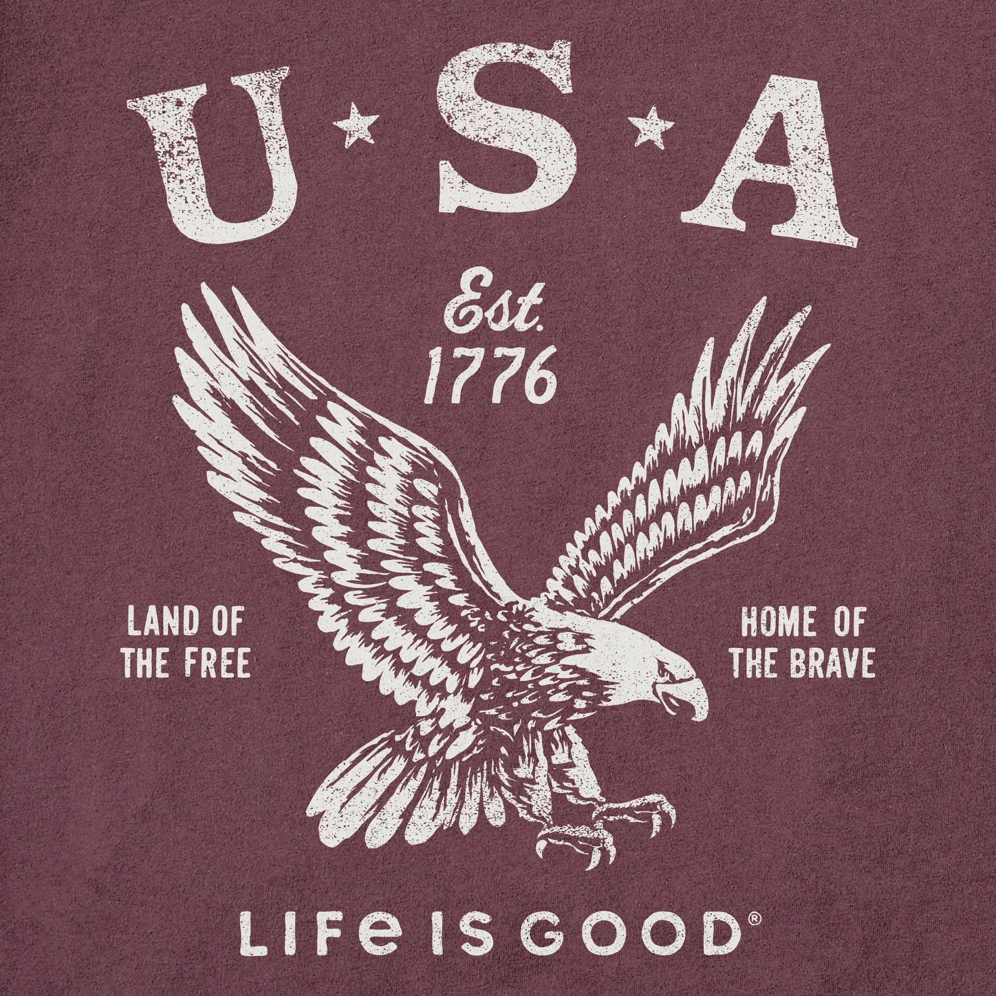 Men's USA 1776 Eagle Short Sleeve Tee Life is Good