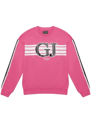 Pink Long Sleeve Active Jumper (7-16) Guess