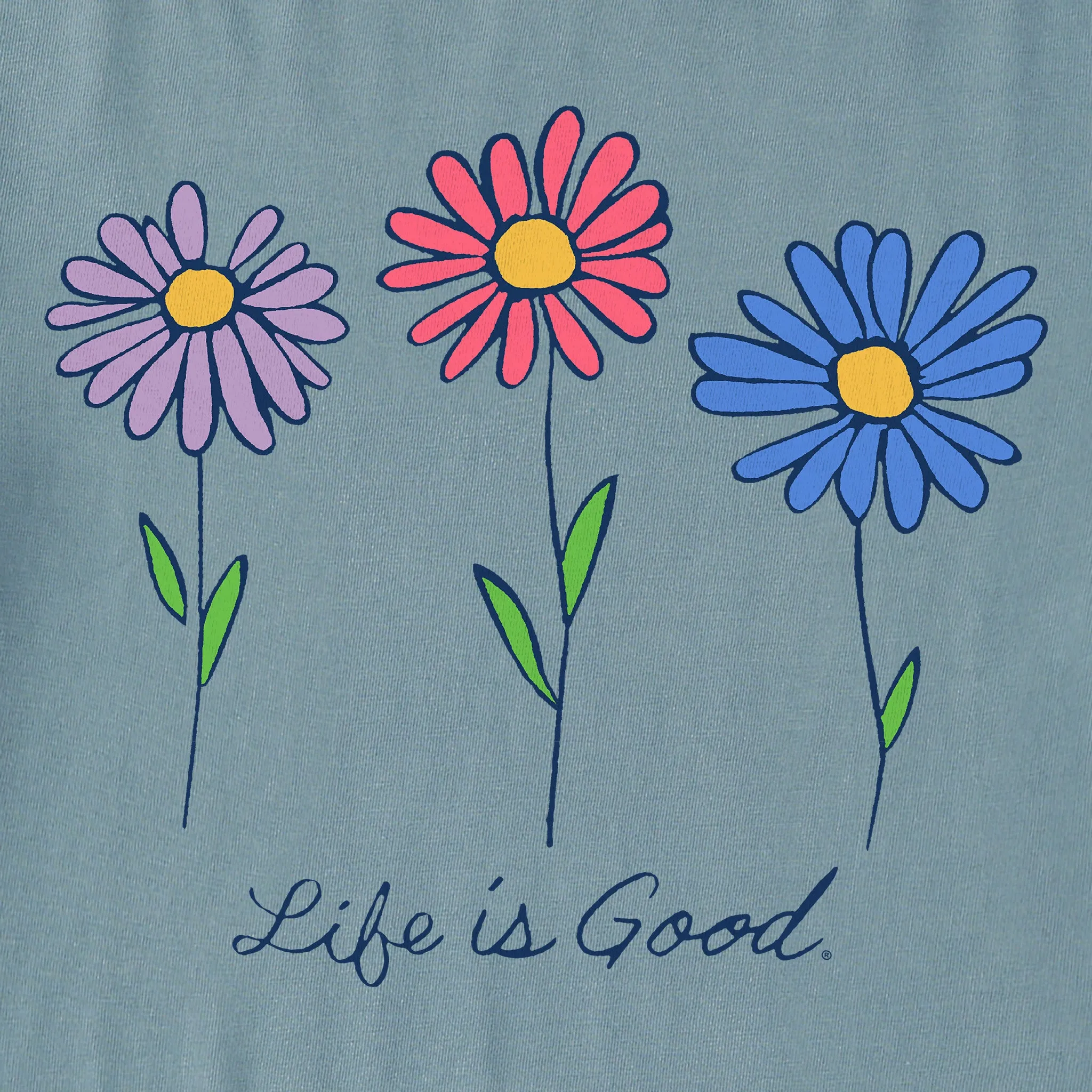 Women's 3 Colorful Daisies Short Sleeve Vee Life is Good
