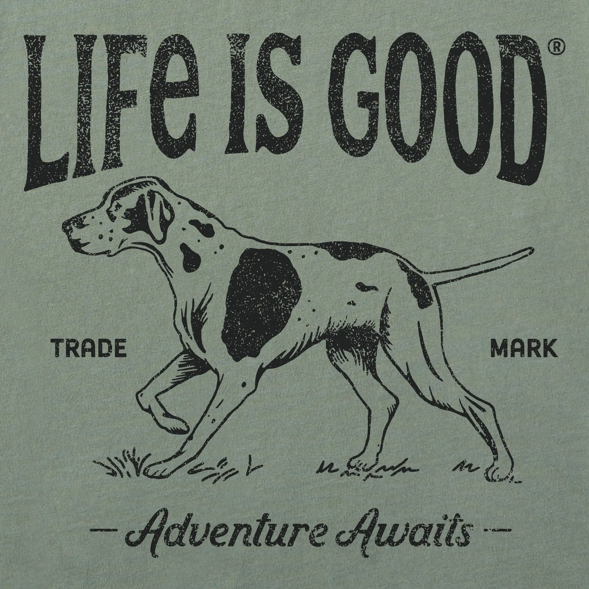 Women's Adventure Awaits Hunting Dog Short Sleeve Crusher Boxy Tee Life is Good
